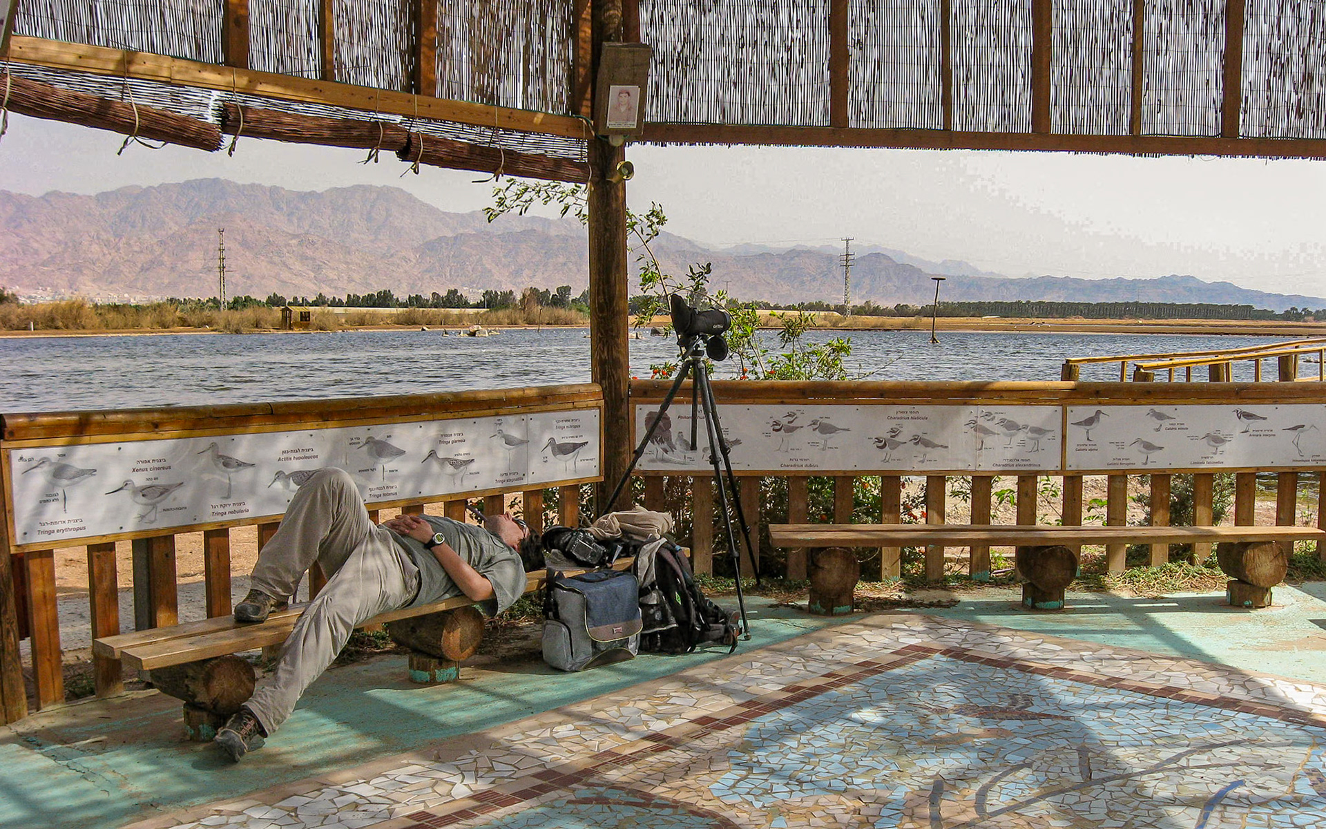 | Eilat Bird Sanctuary | Eilat | Israel |