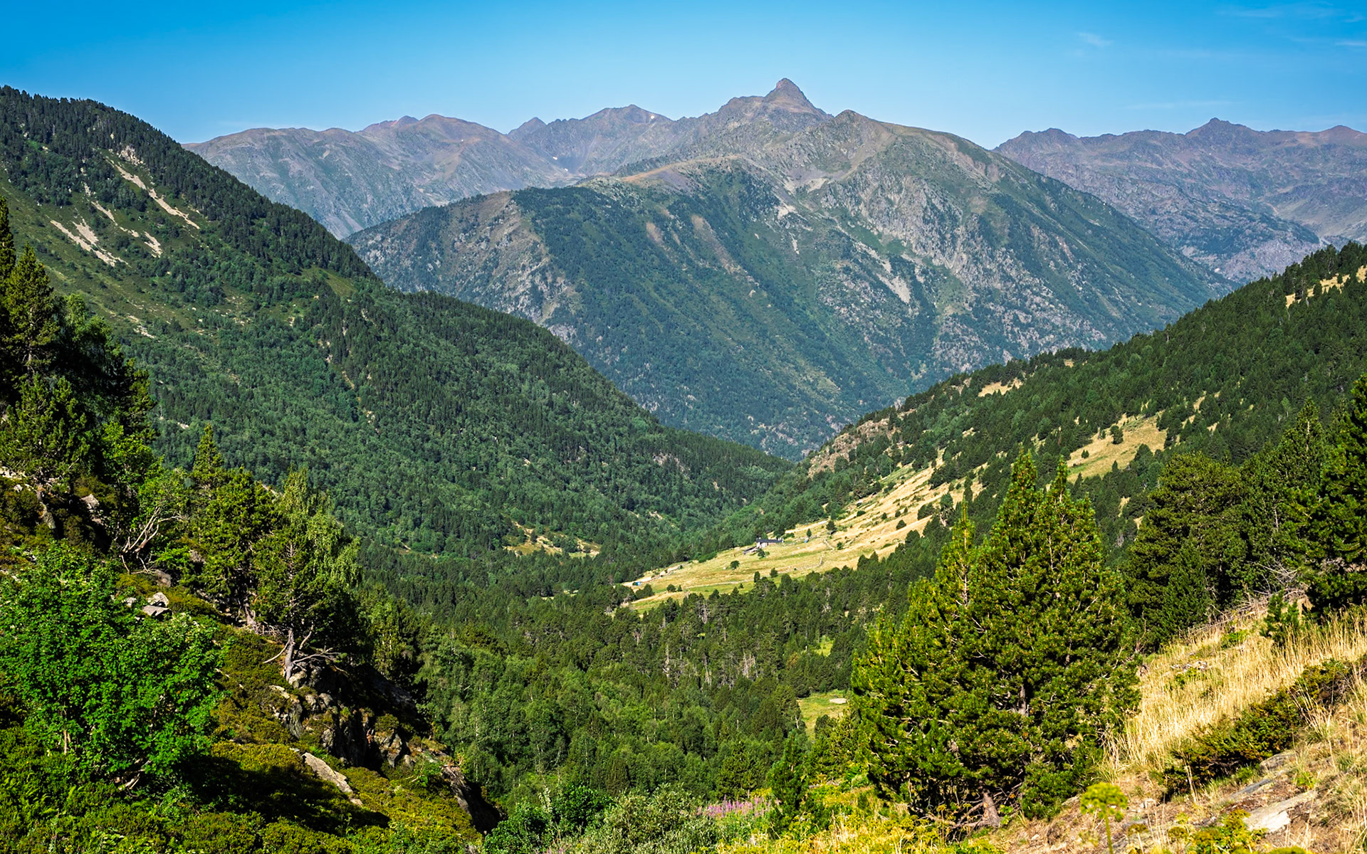 ARP 31. El Serrat - Soldeu