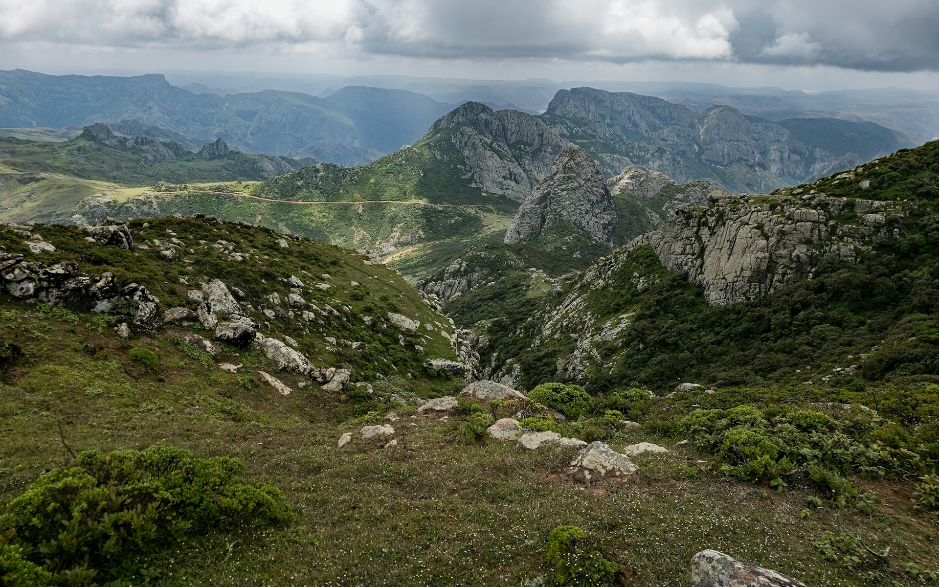 | Socotra  Oct '24 | Day 4 | October 10th | Mount Haggeher Trek | Adho di Meleh - Wadi Dhamdhar |