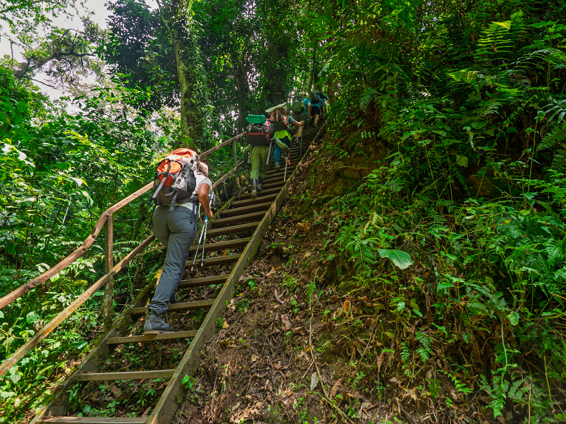 |  Rwenzori Mountains | Uganda |
