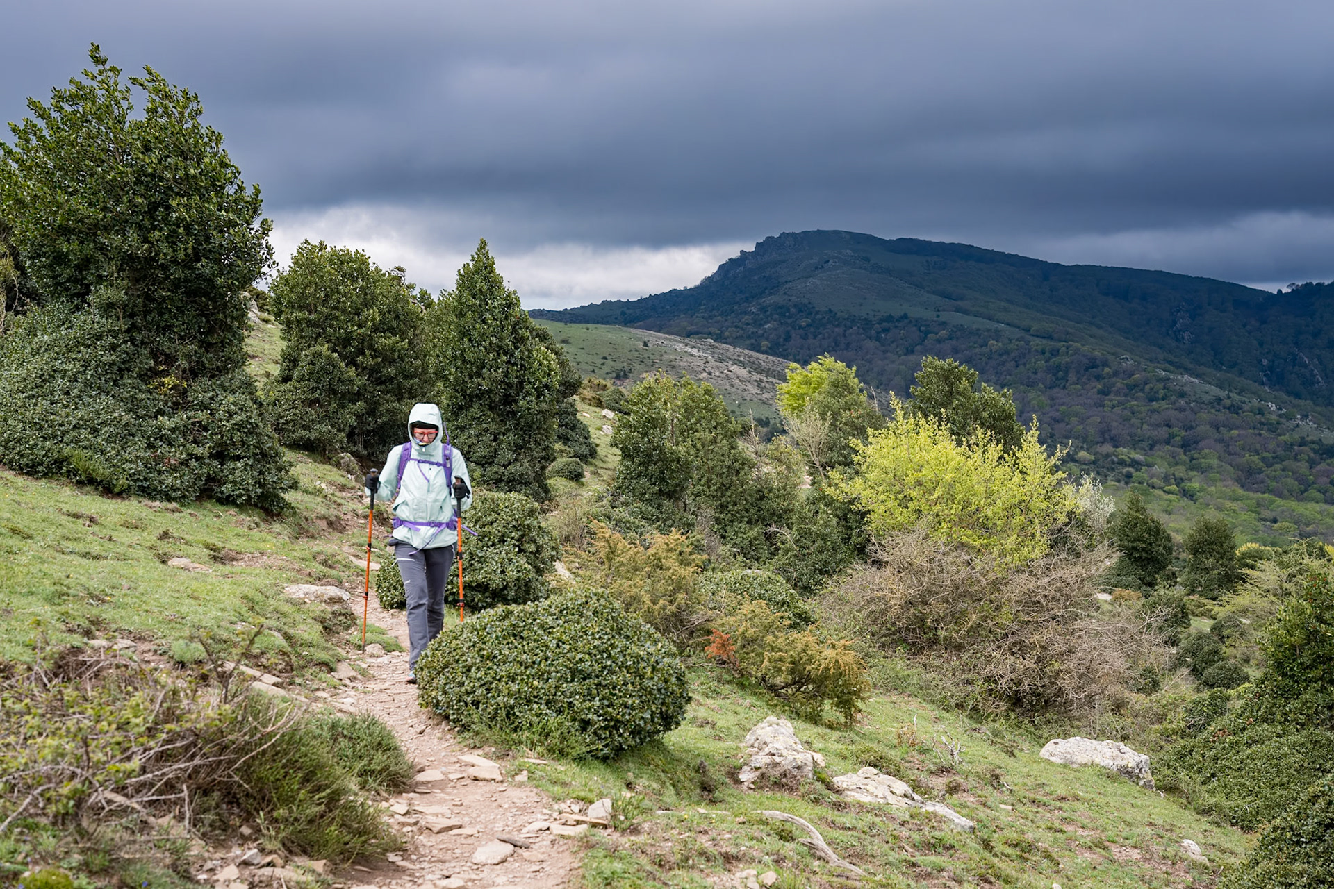 ARP 41.1. Coll de l'Ullat - Coll de Banyuls