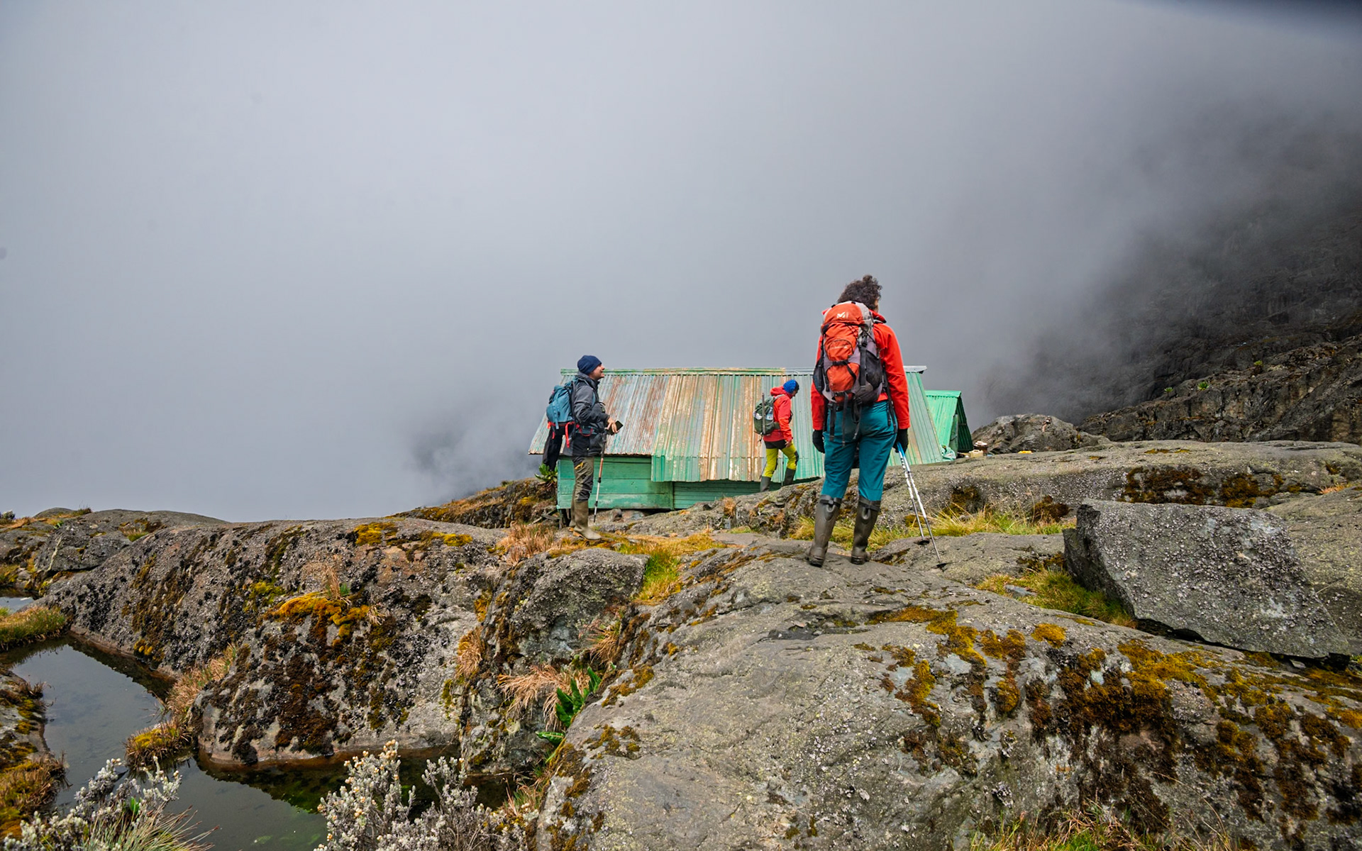 | Day 4. Bujuku Hut (3.977 m) - Elena Hut (4,541 m) |  Rwenzori Mountains | Uganda |  Rwenzori Mountains | Uganda |