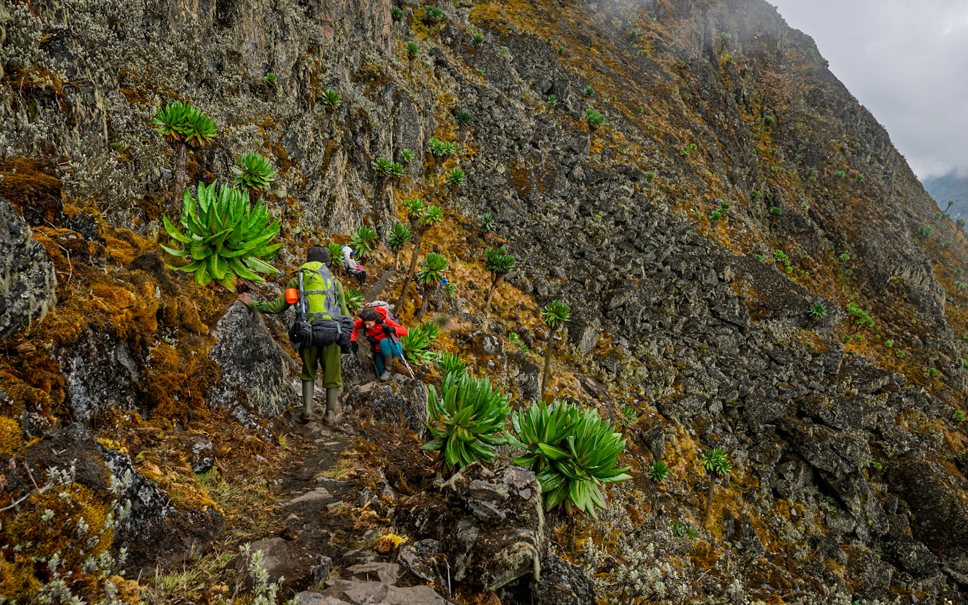 | Day 4. Bujuku Hut (3.977 m) - Elena Hut (4,541 m) |  Rwenzori Mountains | Uganda |  Rwenzori Mountains | Uganda |