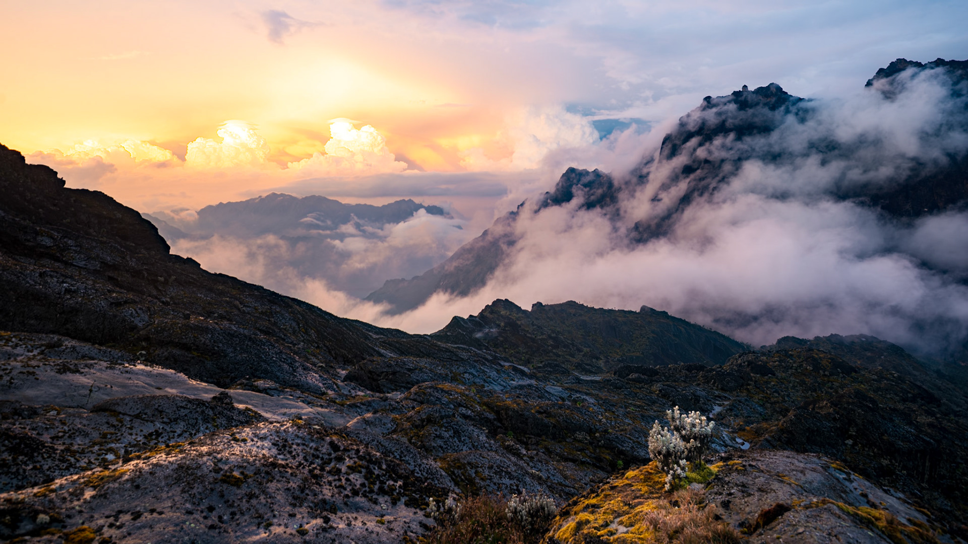| Sunset from Elena Hut (4.541 m) | Day 4. Bujuku Hut (3.977 m) - Elena Hut (4,541 m) |  Rwenzori Mountains | Uganda |  Rwenzori Mountains | Uganda |