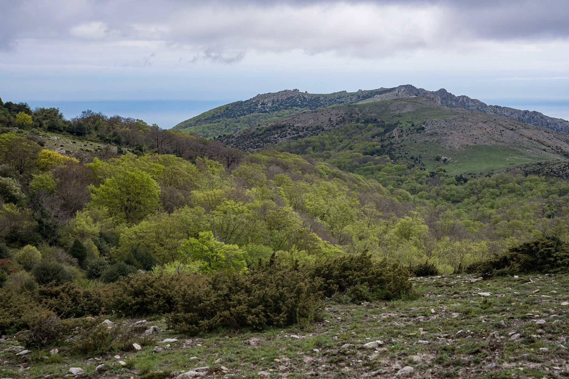 ARP 41.1. Coll de l'Ullat - Coll de Banyuls