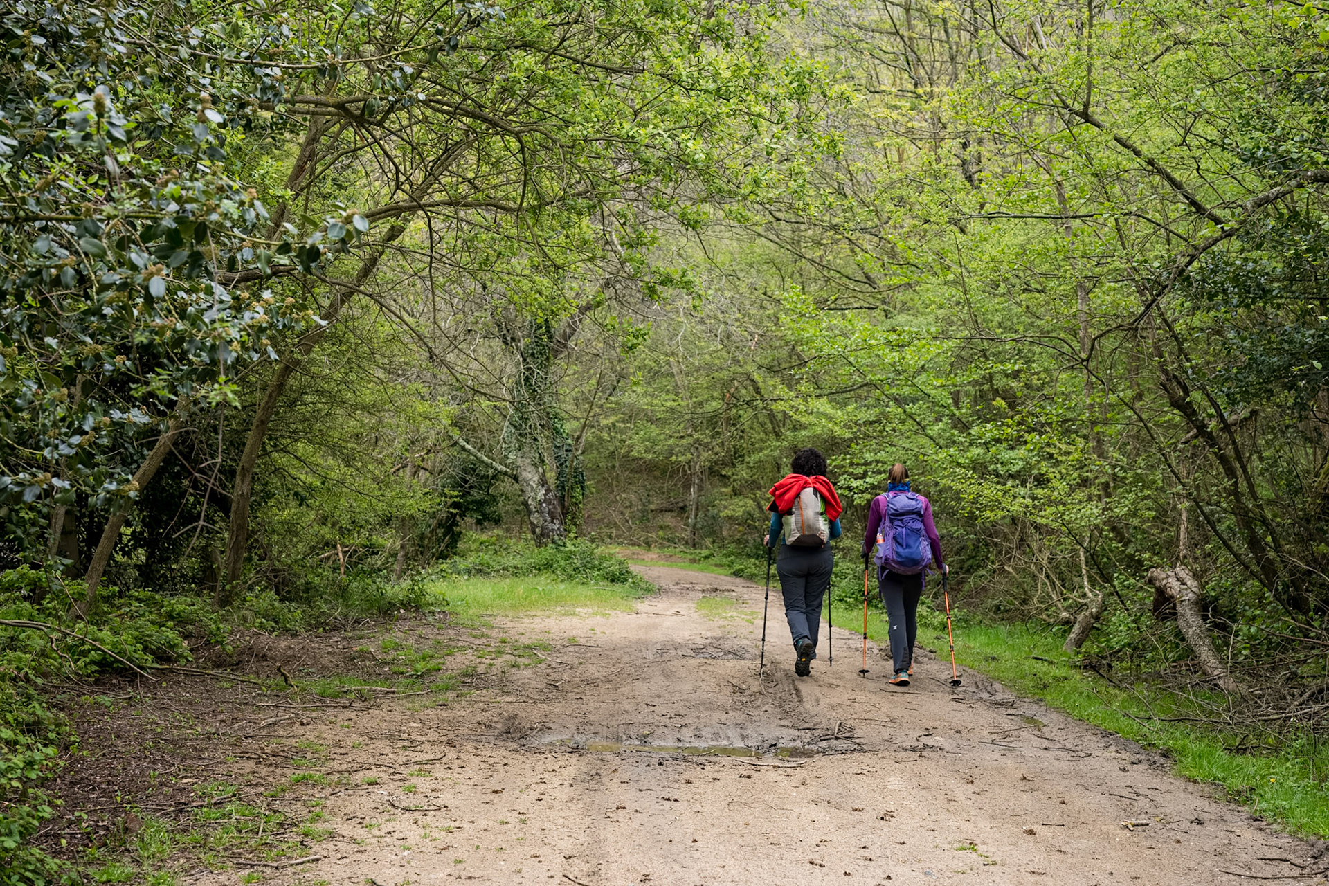 ARP 40. Les Illes - Coll de l'Ullat