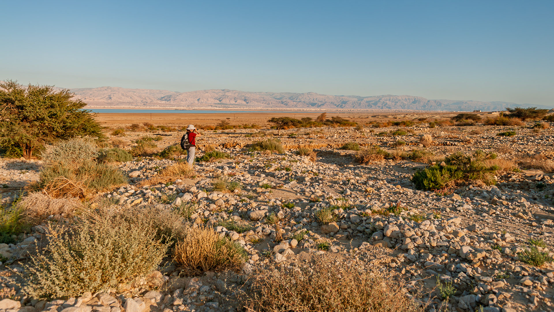 | Ein Gedi | Southern Israel | Israel |