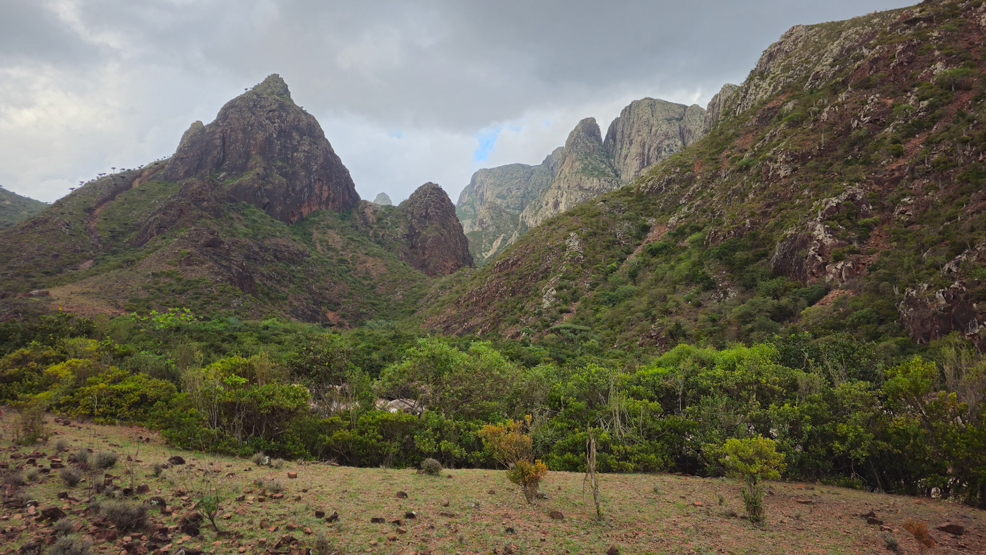 | Socotra  Oct '24 | Day 4 | October 10th | Mount Haggeher Trek | Adho di Meleh - Wadi Dhamdhar |