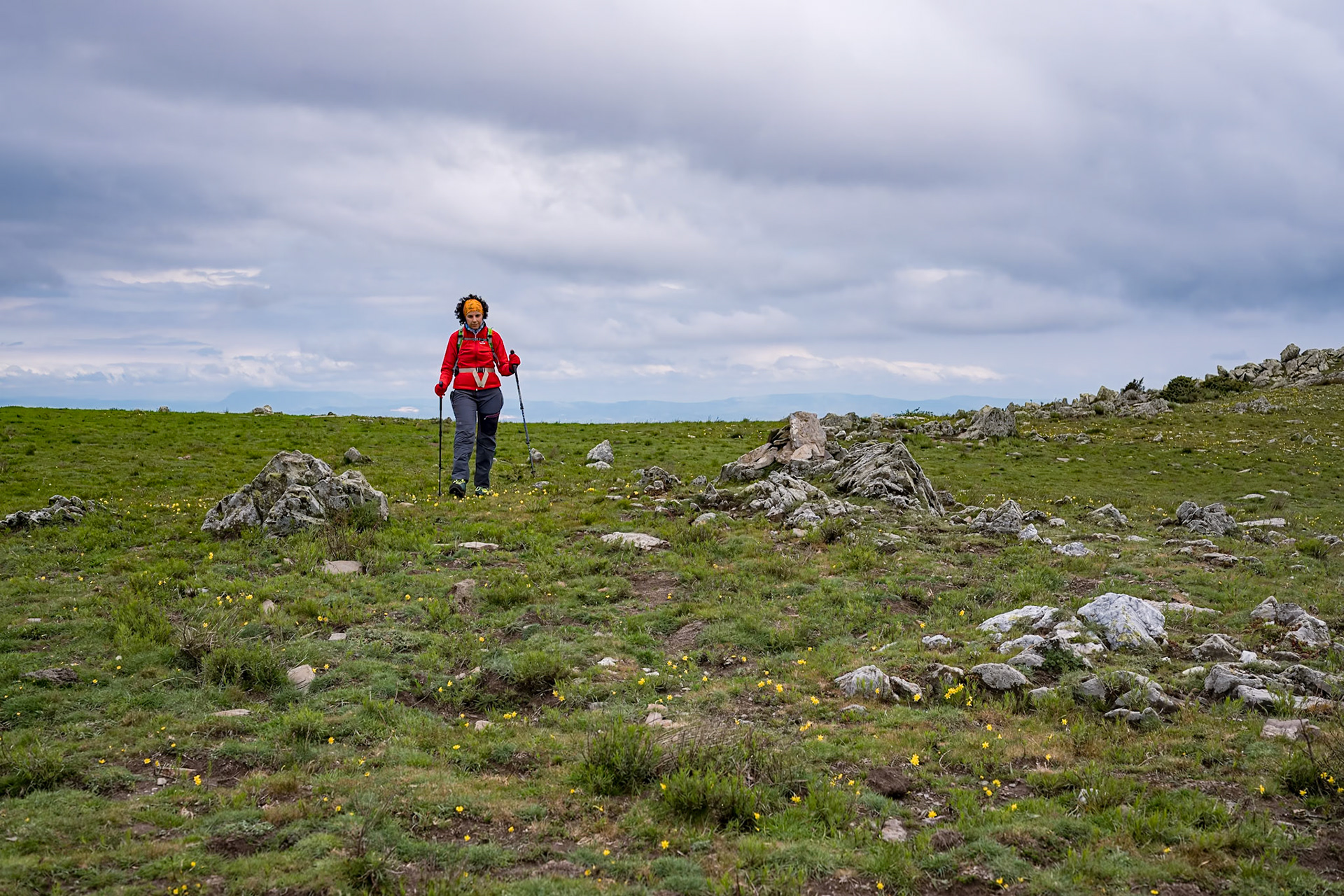 ARP 41.1. Coll de l'Ullat - Coll de Banyuls