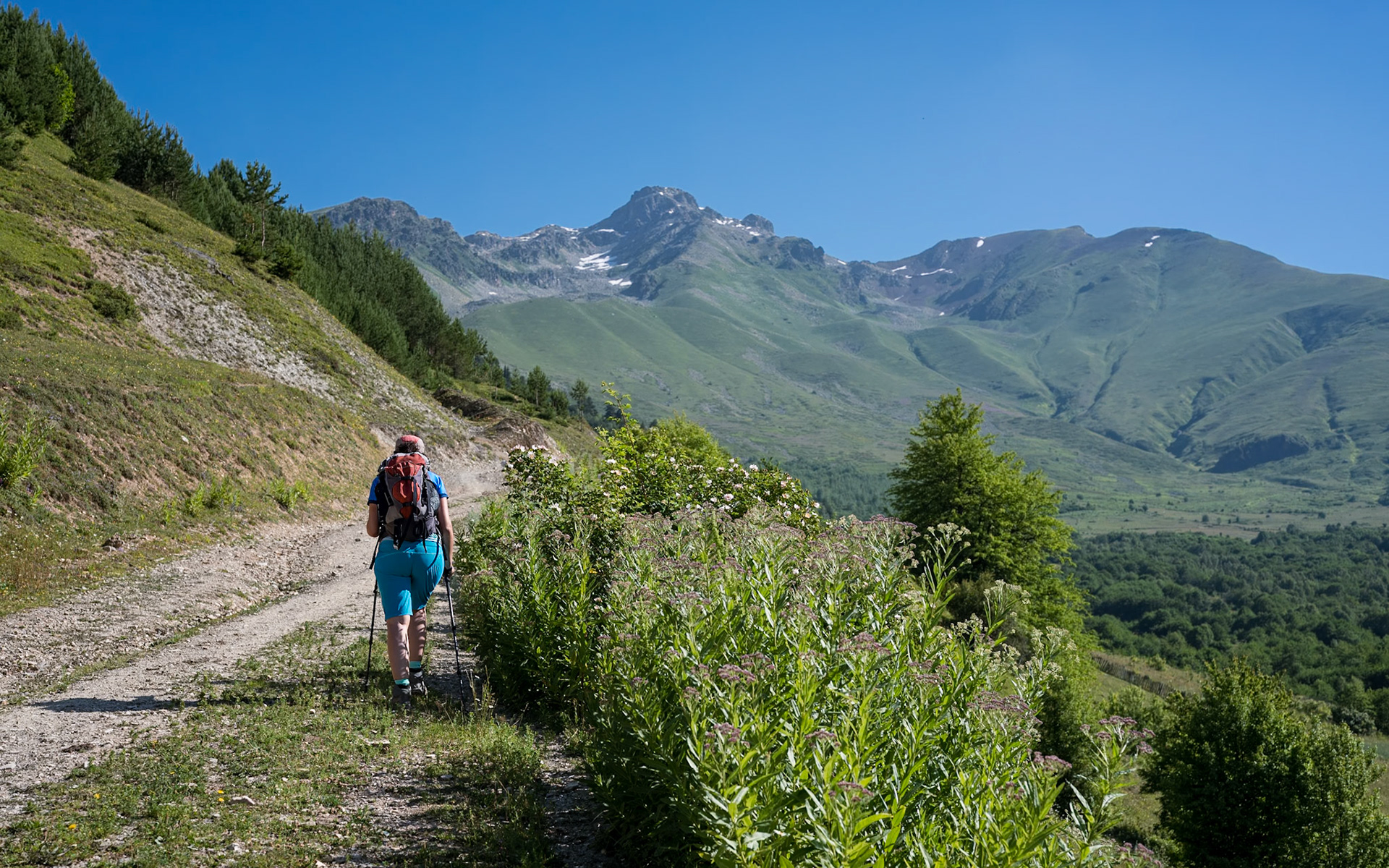 Etseri - Mestia: Baki Pass