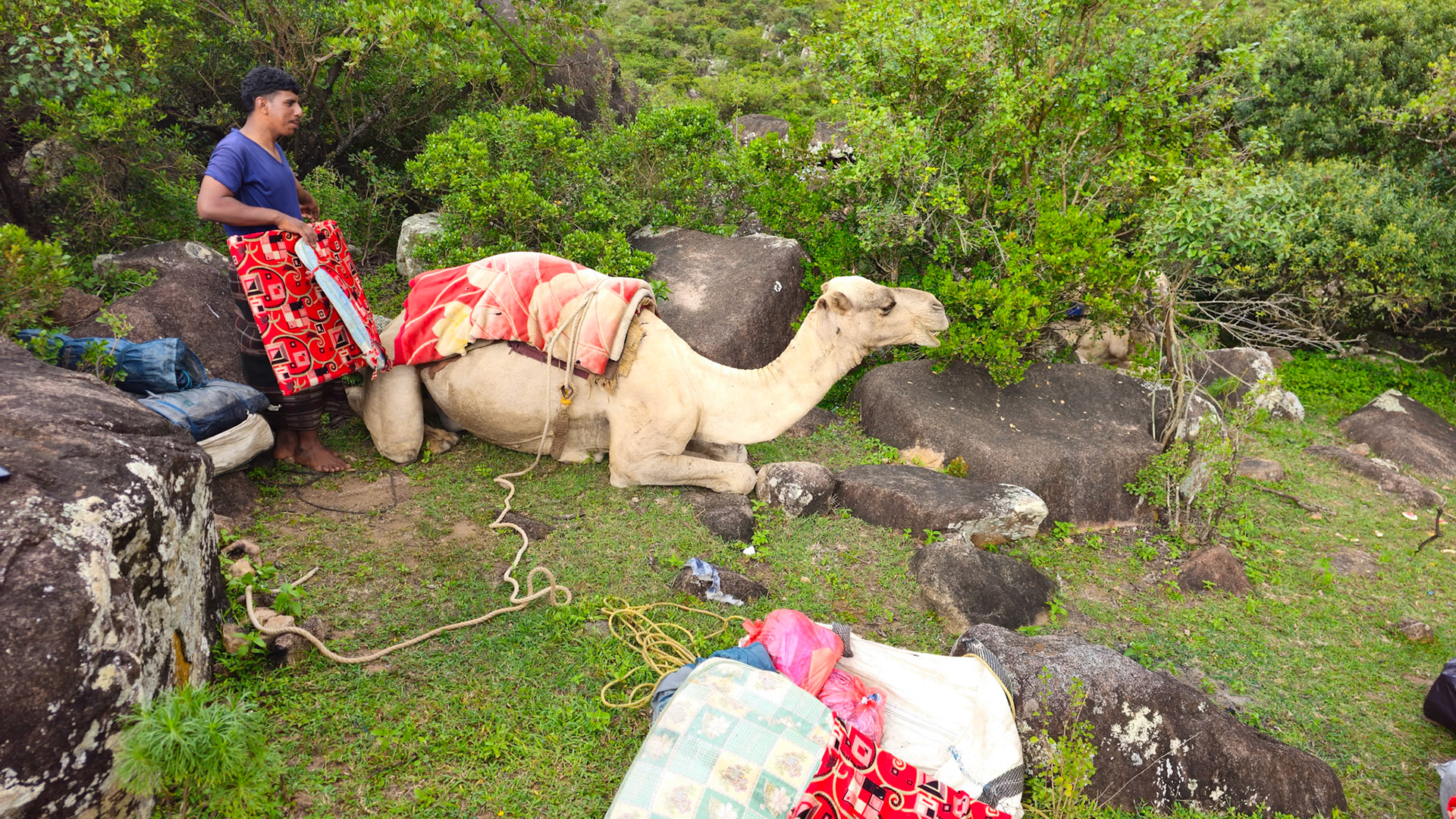 | Socotra  Oct '24 | Day 4 | October 10th | Mount Haggeher Trek | Adho di Meleh - Wadi Dhamdhar |
