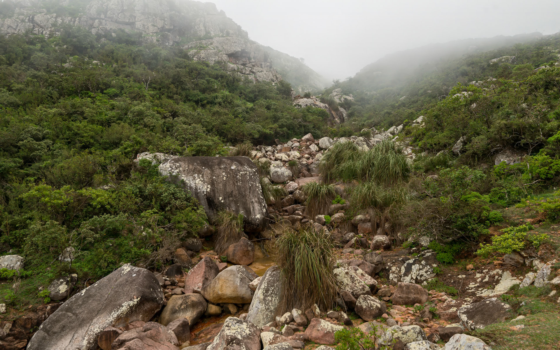 Following the Wadi di Negehen on the way up to Adho di Meleh.