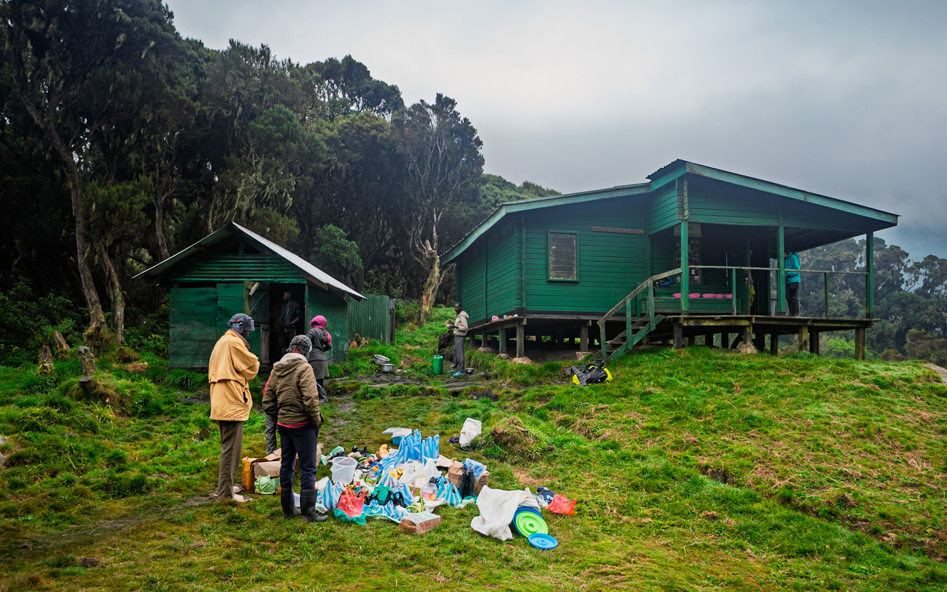 | Day 2. Nyabitabe Camp (2.651 m) - John Matte Hut (3.505 m) |  Rwenzori Mountains | Uganda | |  Rwenzori Mountains | Uganda |