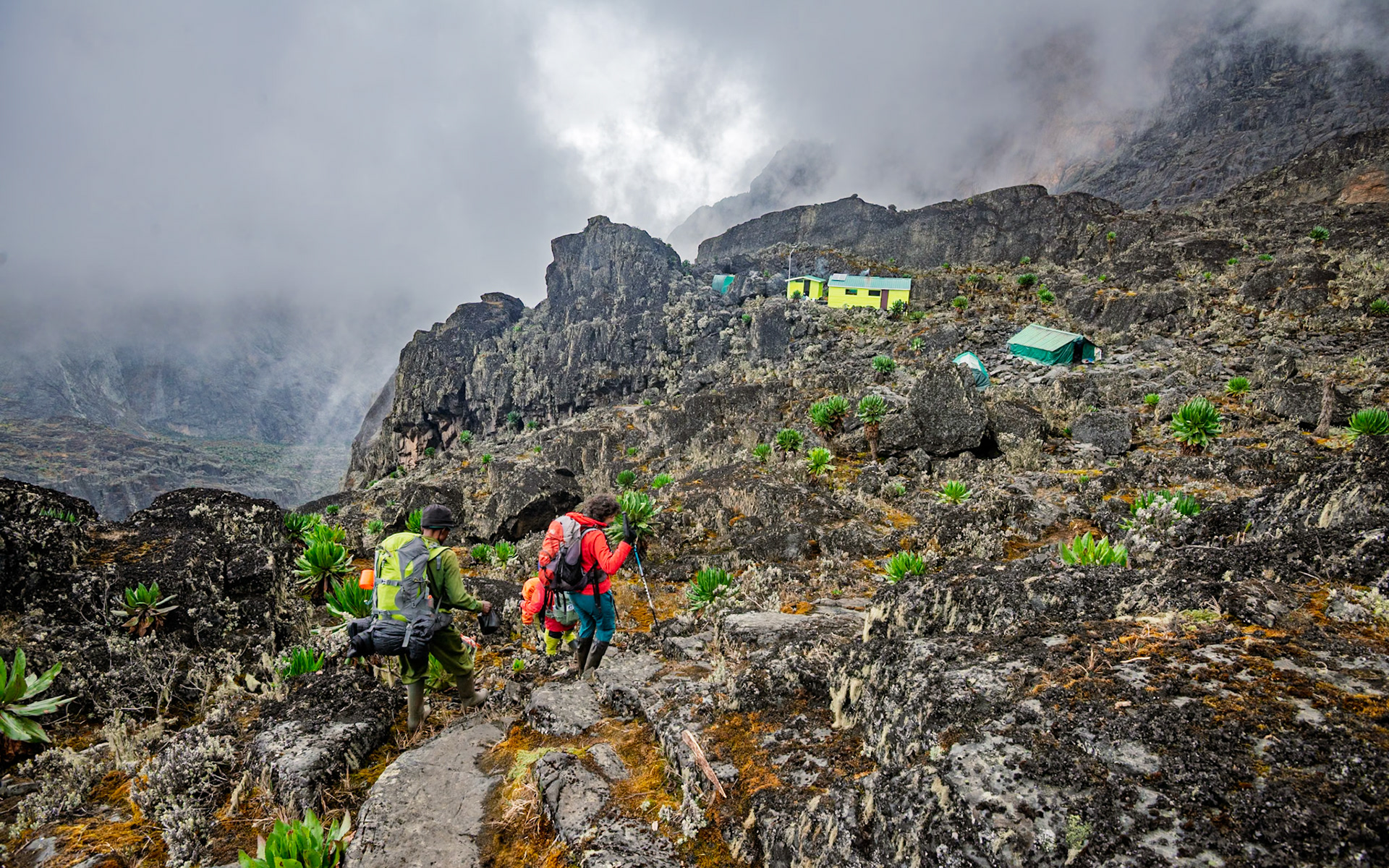 | Day 4. Bujuku Hut (3.977 m) - Elena Hut (4,541 m) |  Rwenzori Mountains | Uganda |  Rwenzori Mountains | Uganda |