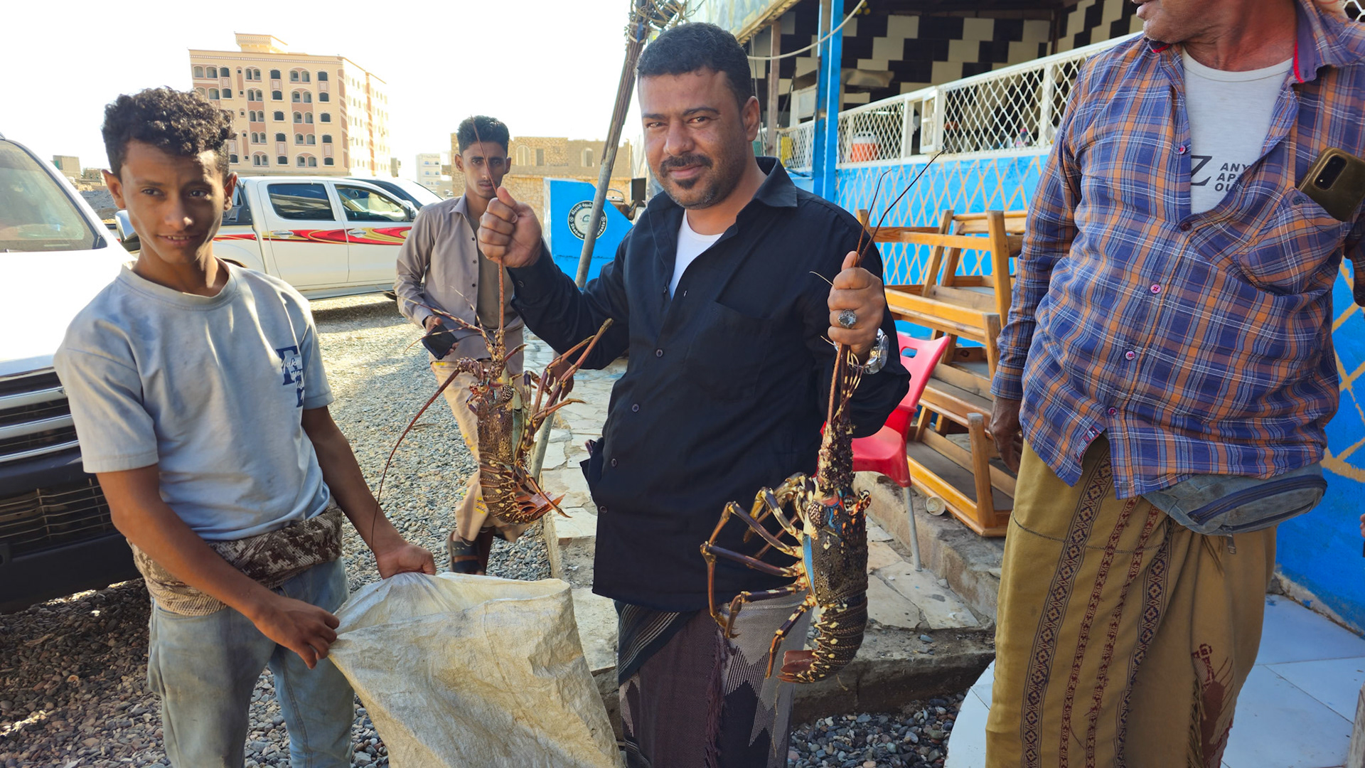 Wow! Look at these lobsters!