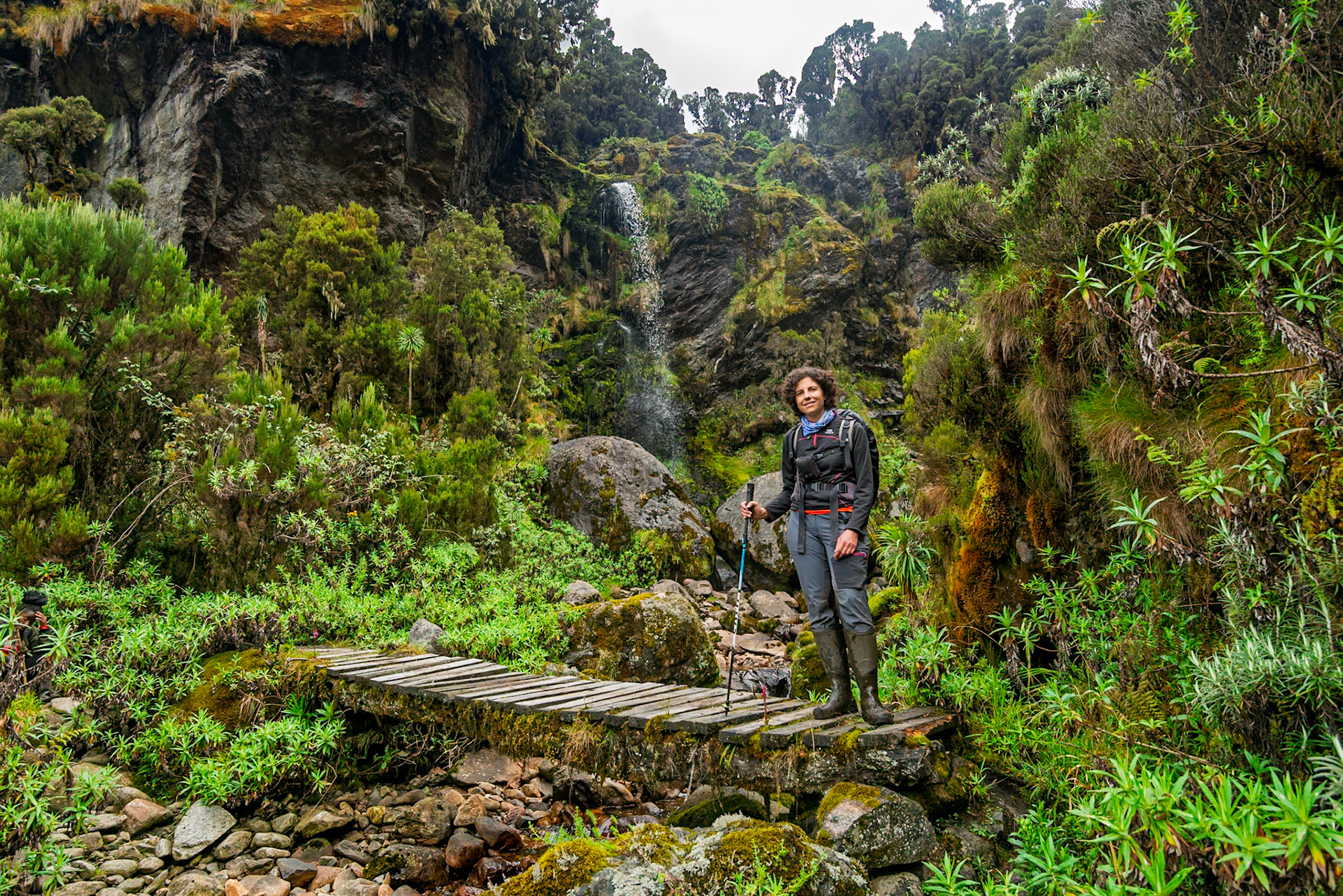 | Day 6. Kitandara Hut (4.023 m) - Guy Yeoman (3.505 m) |  Rwenzori Mountains | Uganda |  Rwenzori Mountains | Uganda |