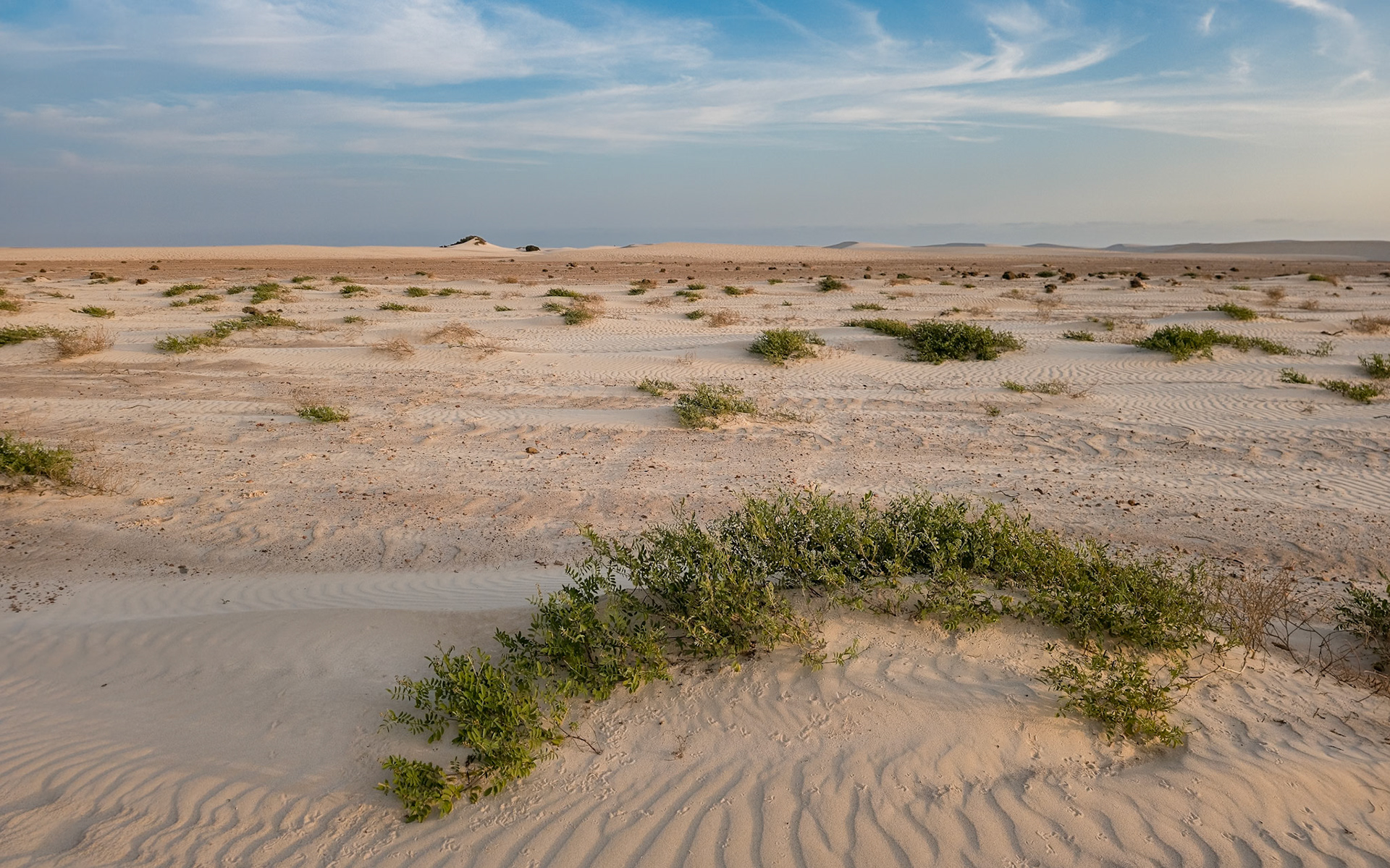 Zahek Sand Dunes