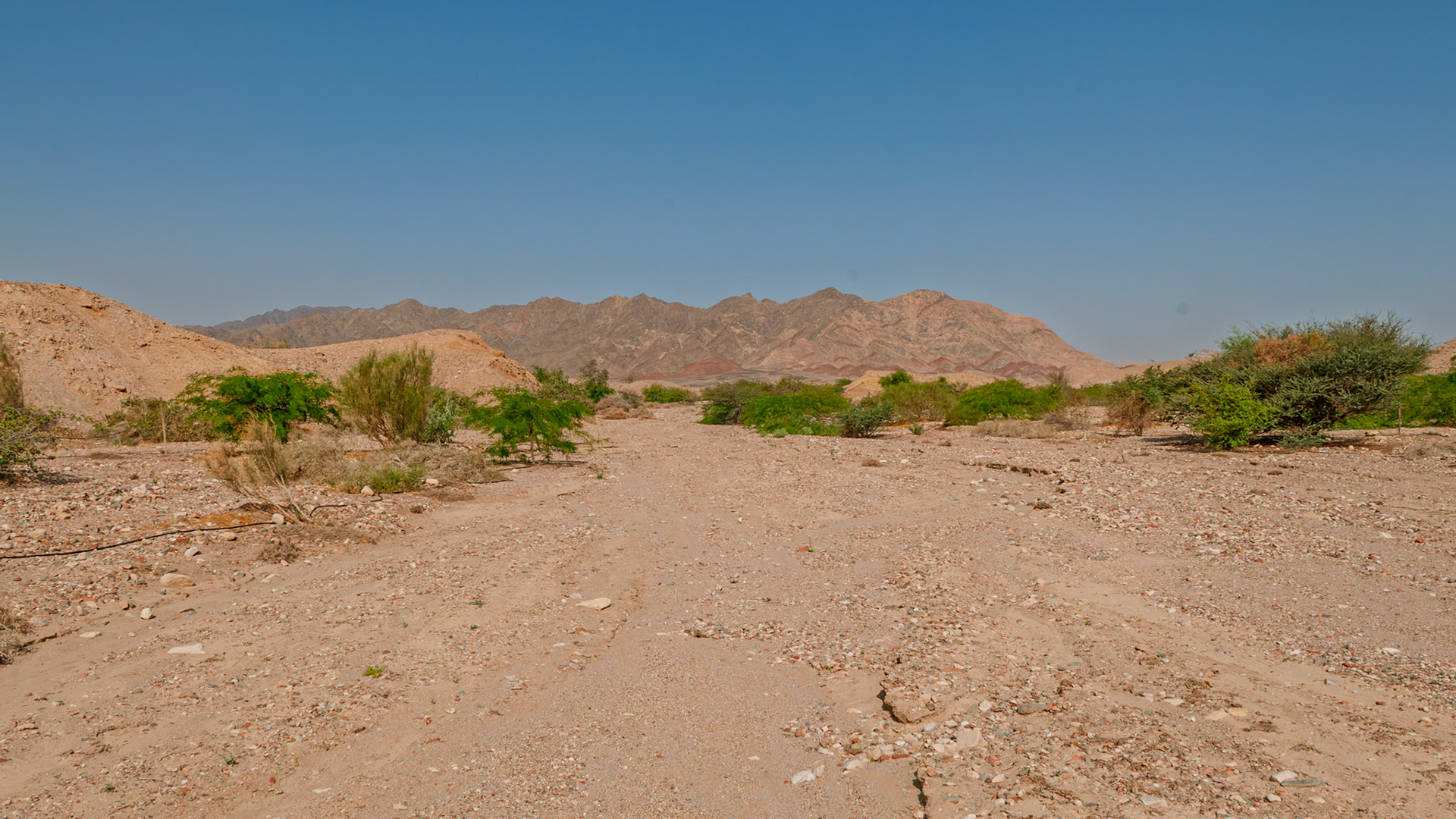 | Holland Park | Eilat | Israel |
