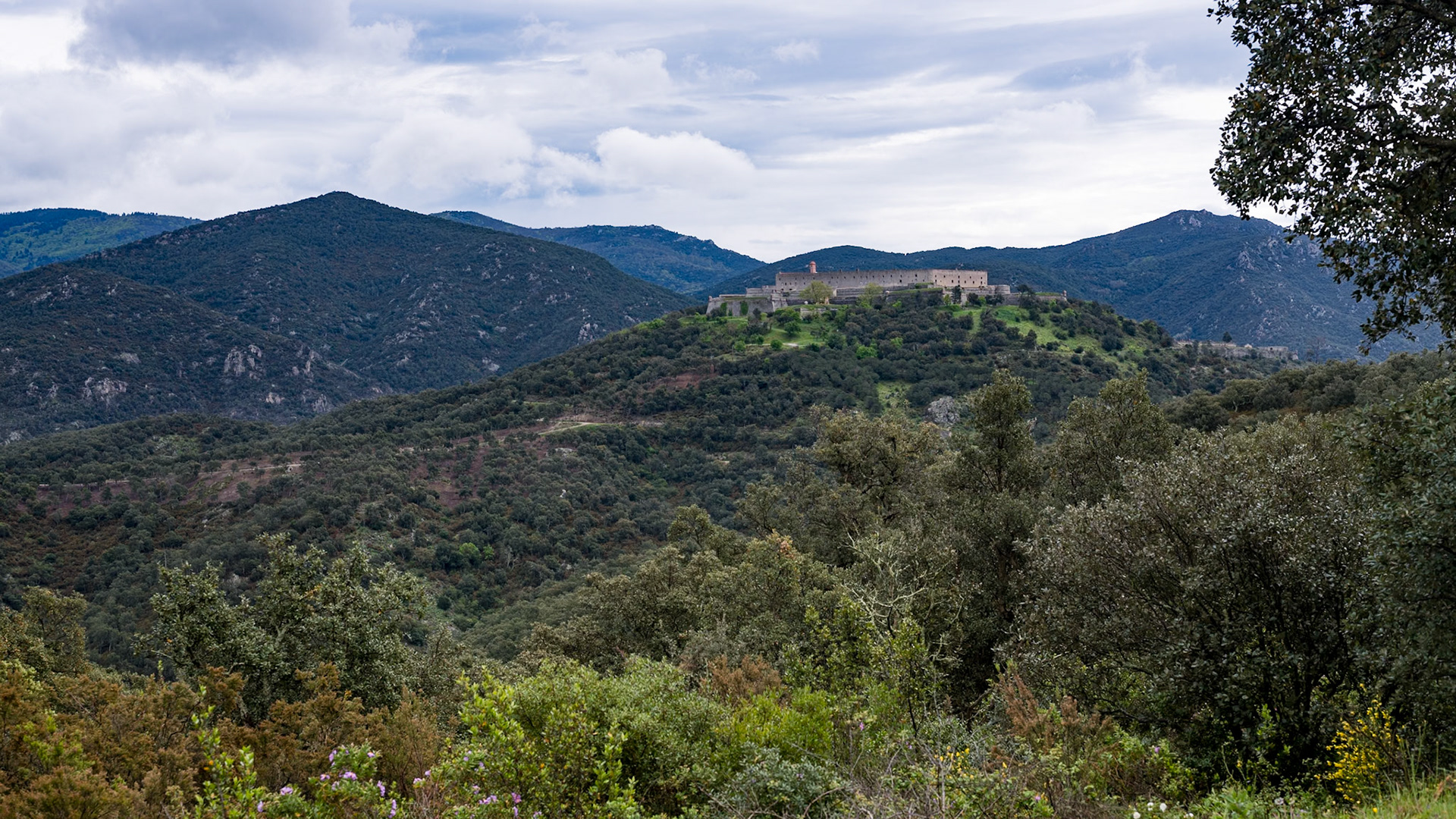 ARP 40. Les Illes - Coll de l'Ullat