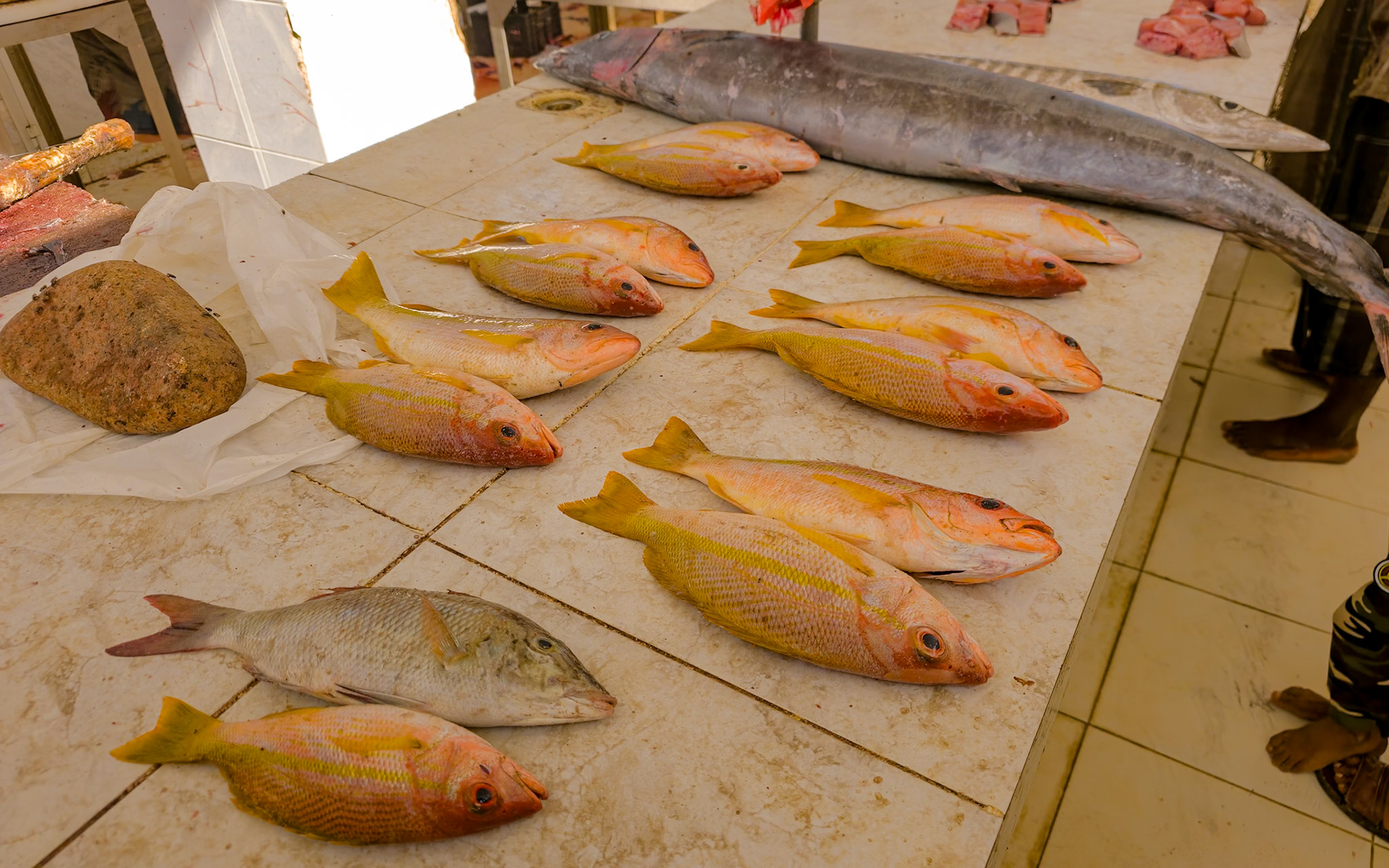 Hadiboh fish market.