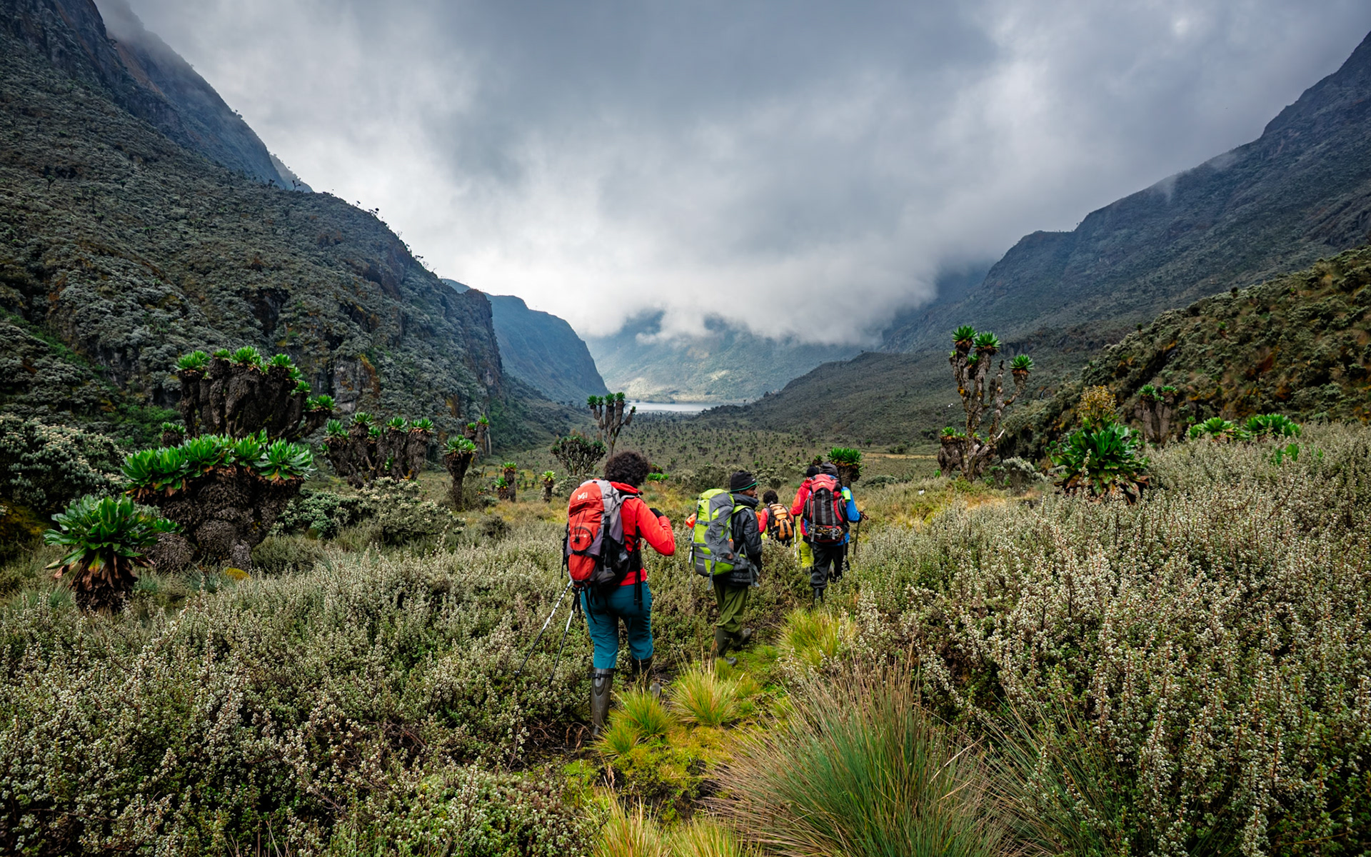 | Day 4. Bujuku Hut (3.977 m) - Elena Hut (4,541 m) |  Rwenzori Mountains | Uganda |  Rwenzori Mountains | Uganda |