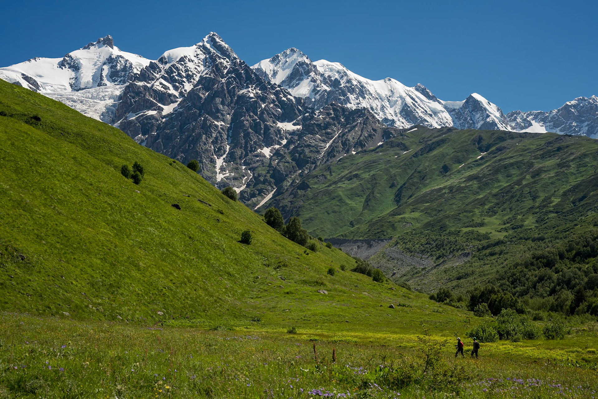 Hiking the Adishichala Valley on the way up to Chkhunderi Pass.