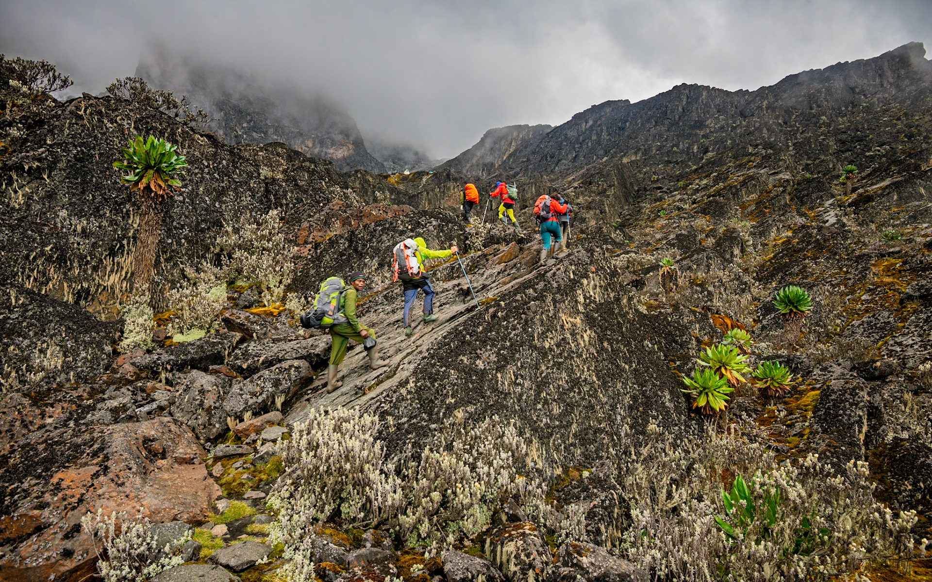 | Day 4. Bujuku Hut (3.977 m) - Elena Hut (4,541 m) |  Rwenzori Mountains | Uganda |  Rwenzori Mountains | Uganda |
