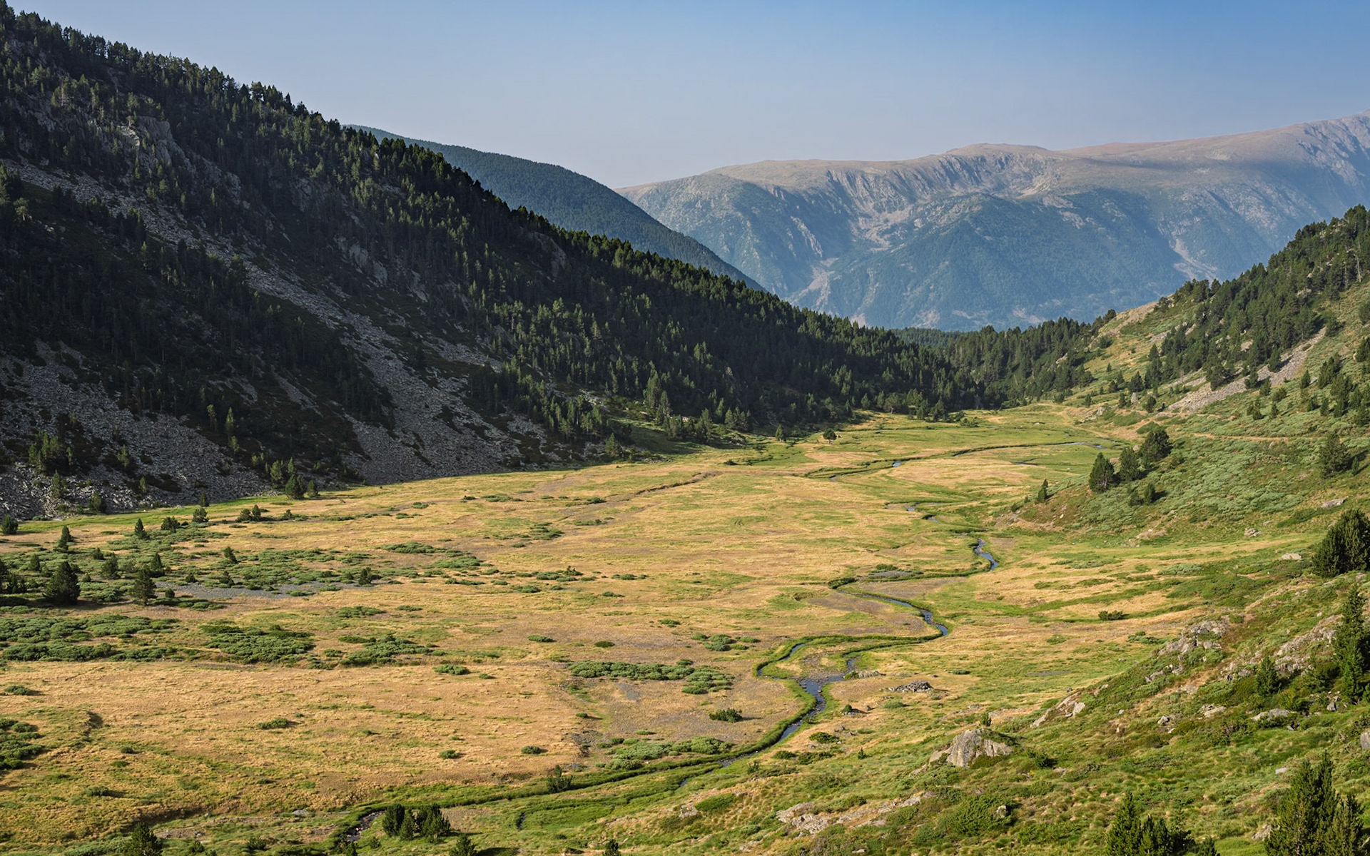 ARP 33. Coll de Puimorens - La Bullosa