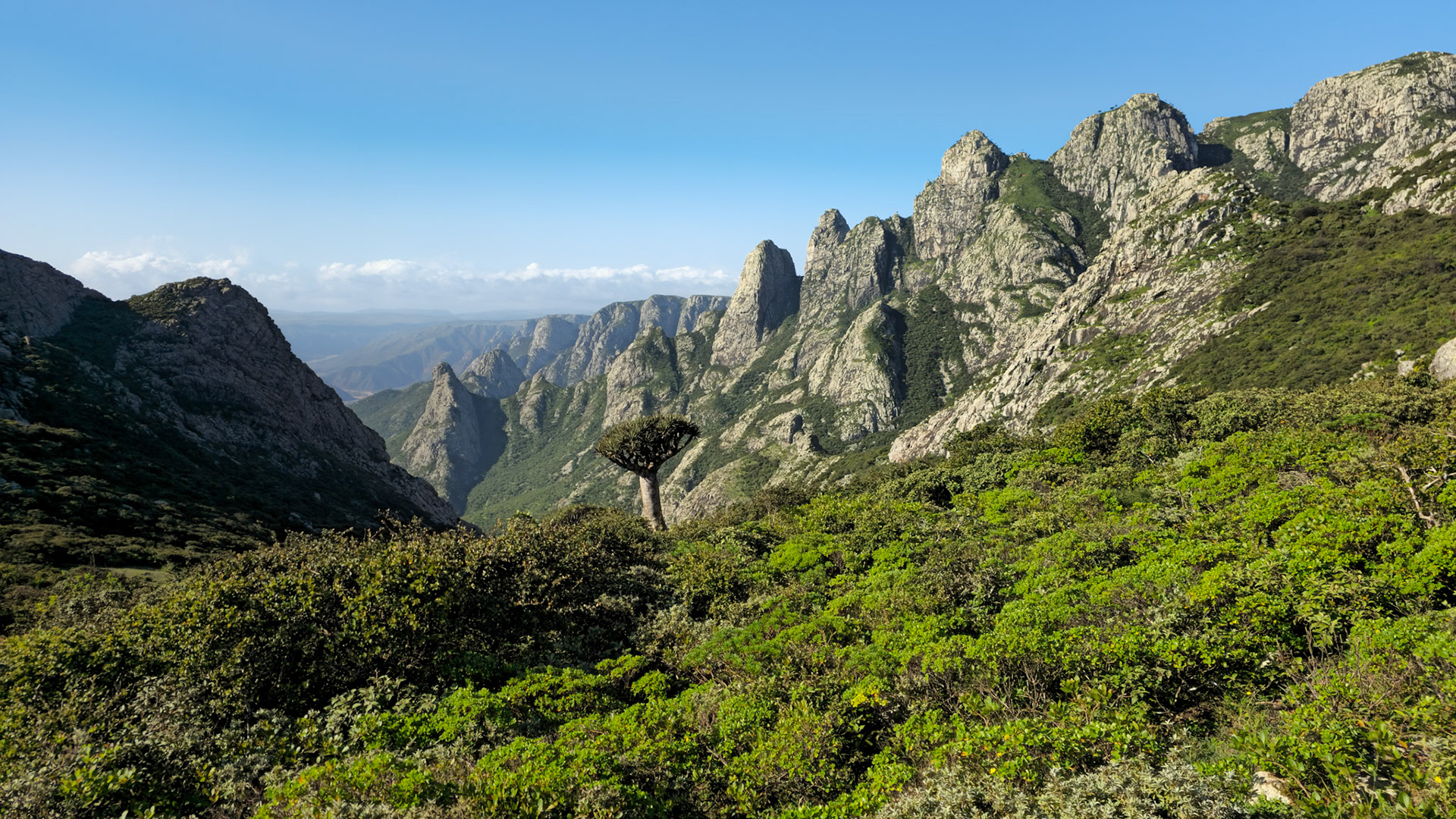 Climbing to a fantastic lookout over the Haggeger mountains and the sea