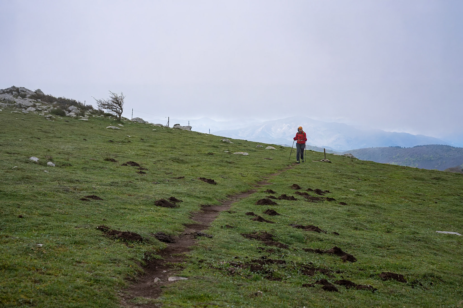 ARP 41.1. Coll de l'Ullat - Coll de Banyuls