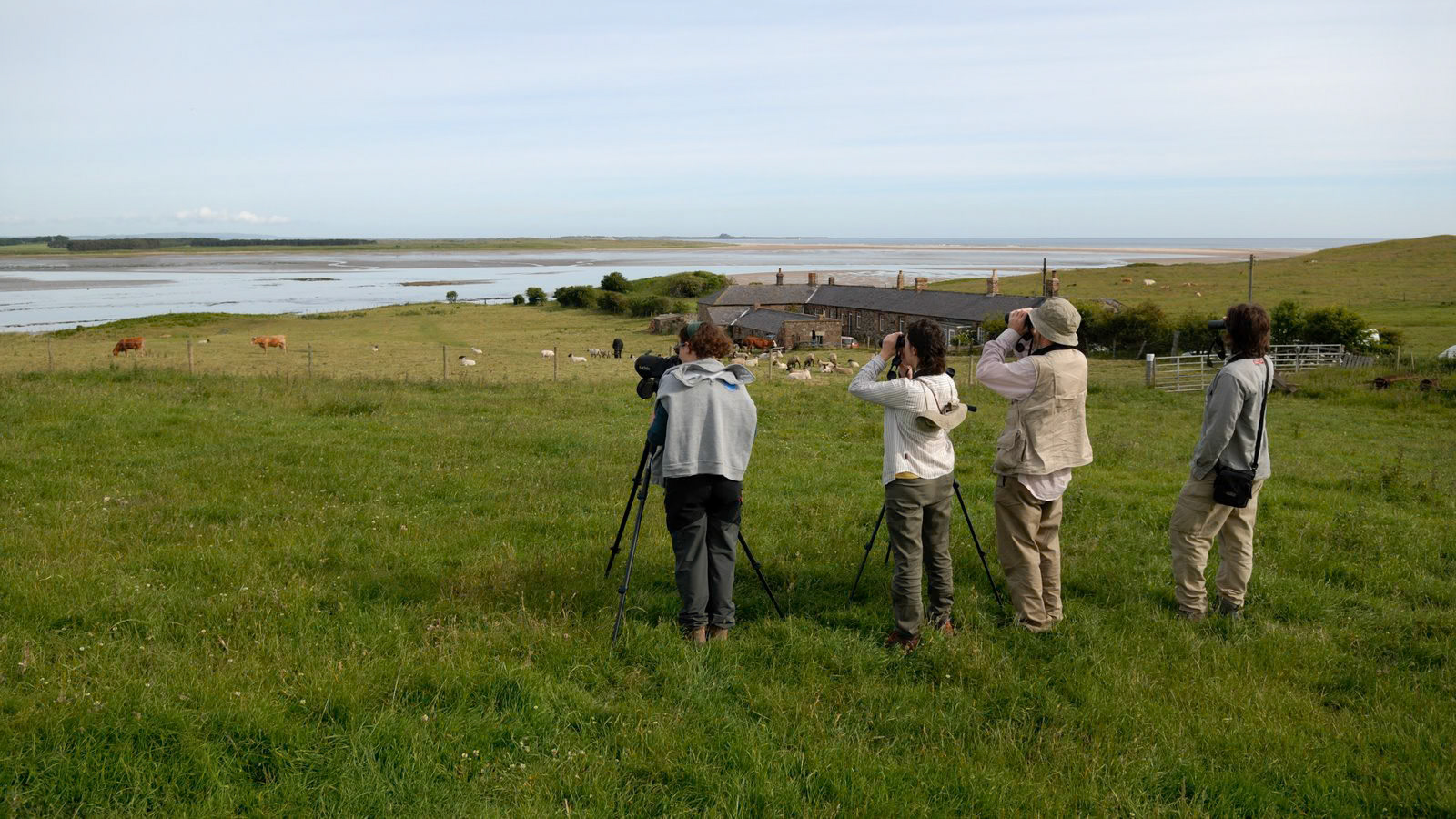 | Marshall Meadows | Berwick-upon-Tweed | Northumbria | United Kingdom |