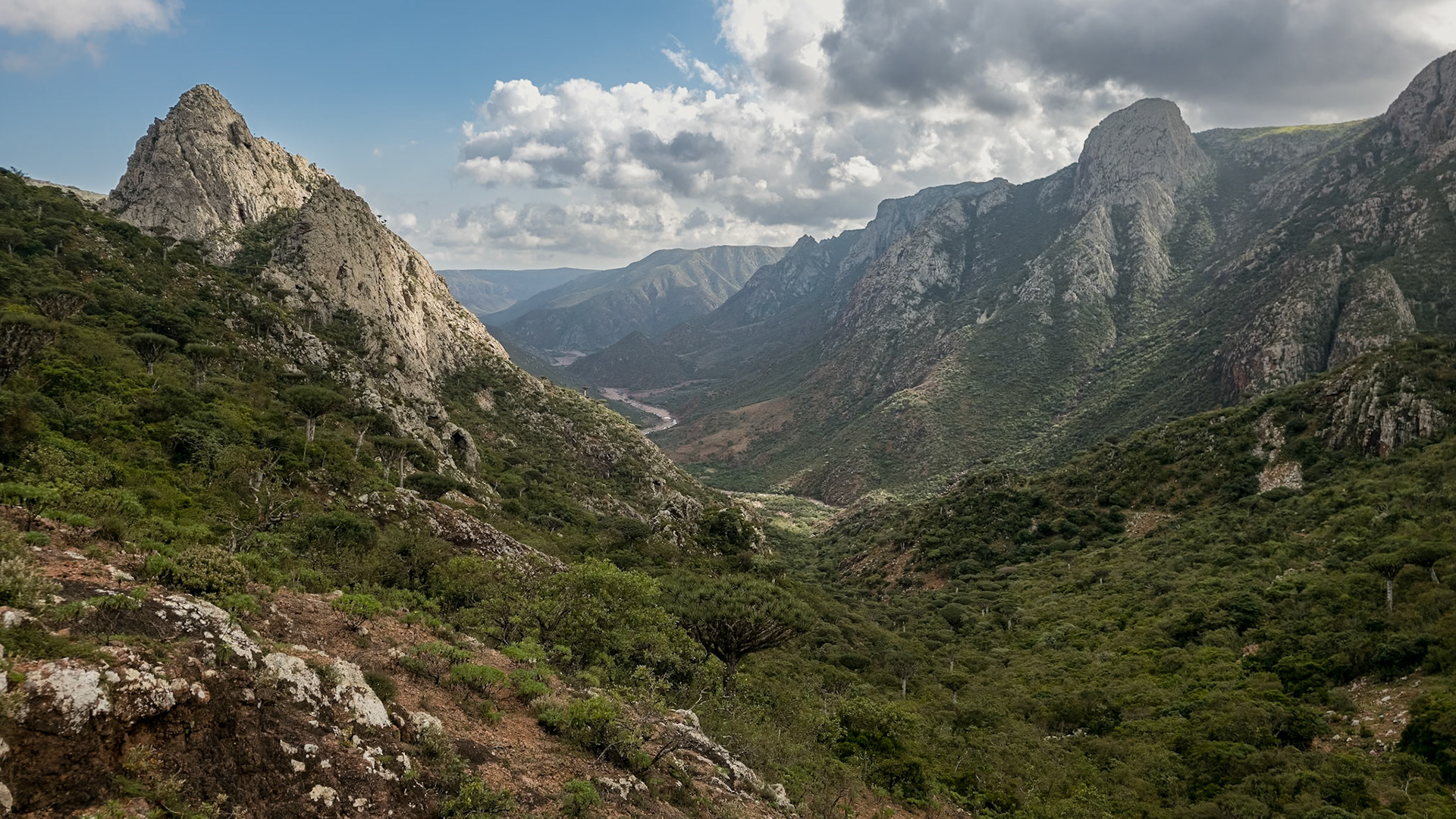 | Socotra  Oct '24 | Day 4 | October 10th | Mount Haggeher Trek | Adho di Meleh - Wadi Dhamdhar |