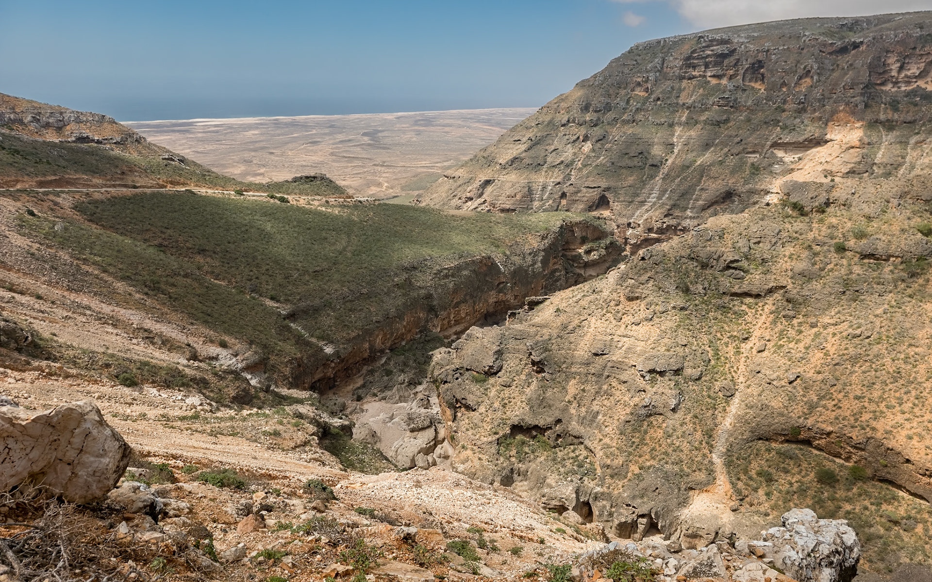 | Socotra  Oct '24 | Day 6 | October 12th | Socotra South Coast |