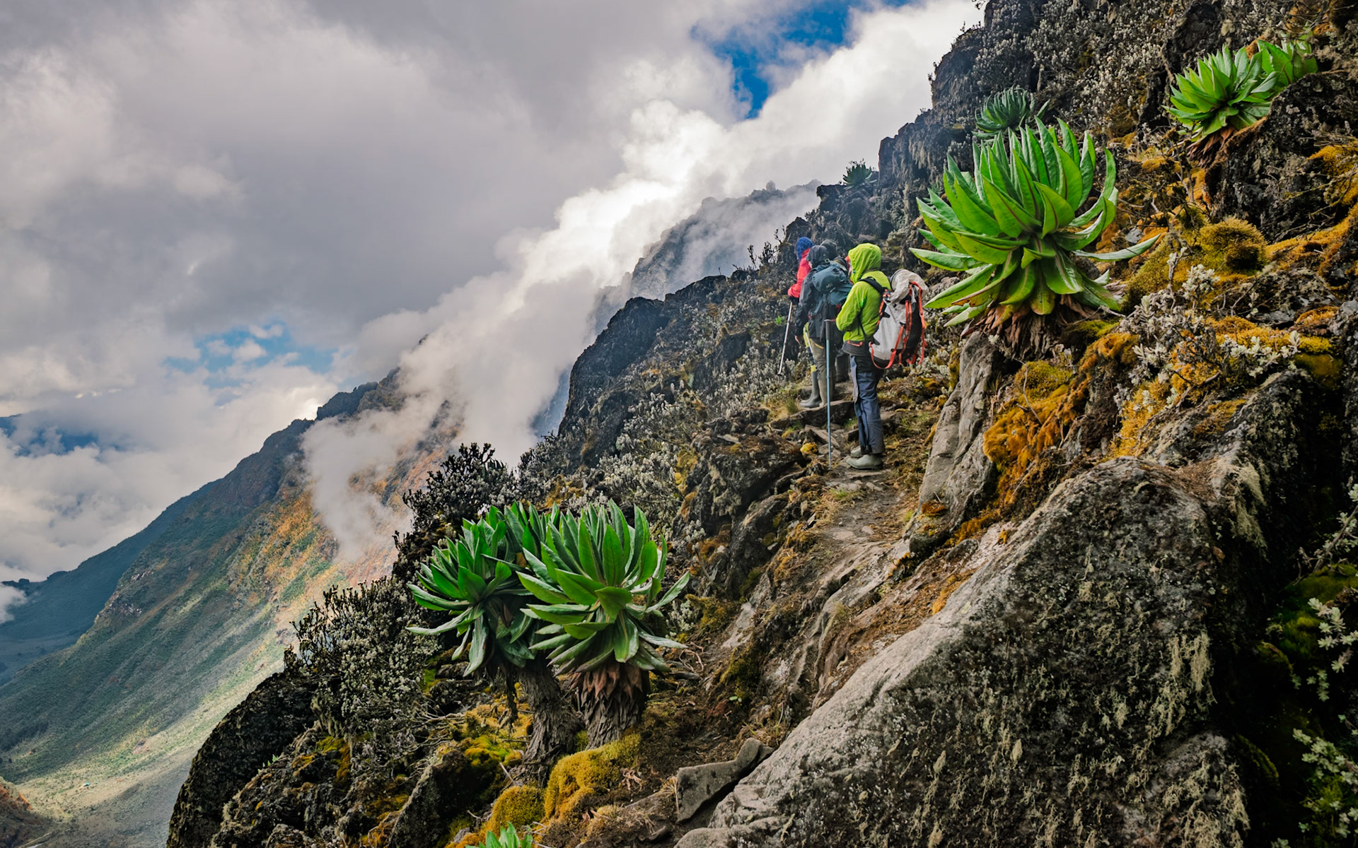 | Day 4. Bujuku Hut (3.977 m) - Elena Hut (4,541 m) |  Rwenzori Mountains | Uganda |  Rwenzori Mountains | Uganda |