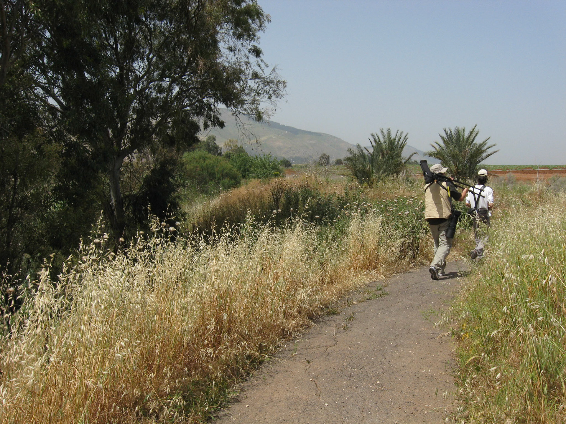 | Beit She'an | Northern Israel | Israel |