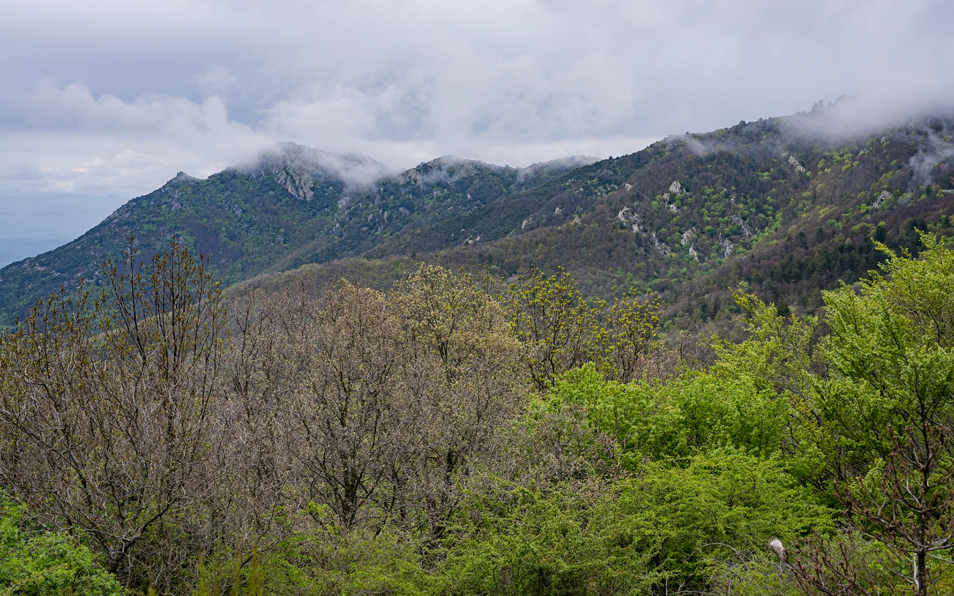 ARP 40. Les Illes - Coll de l'Ullat
