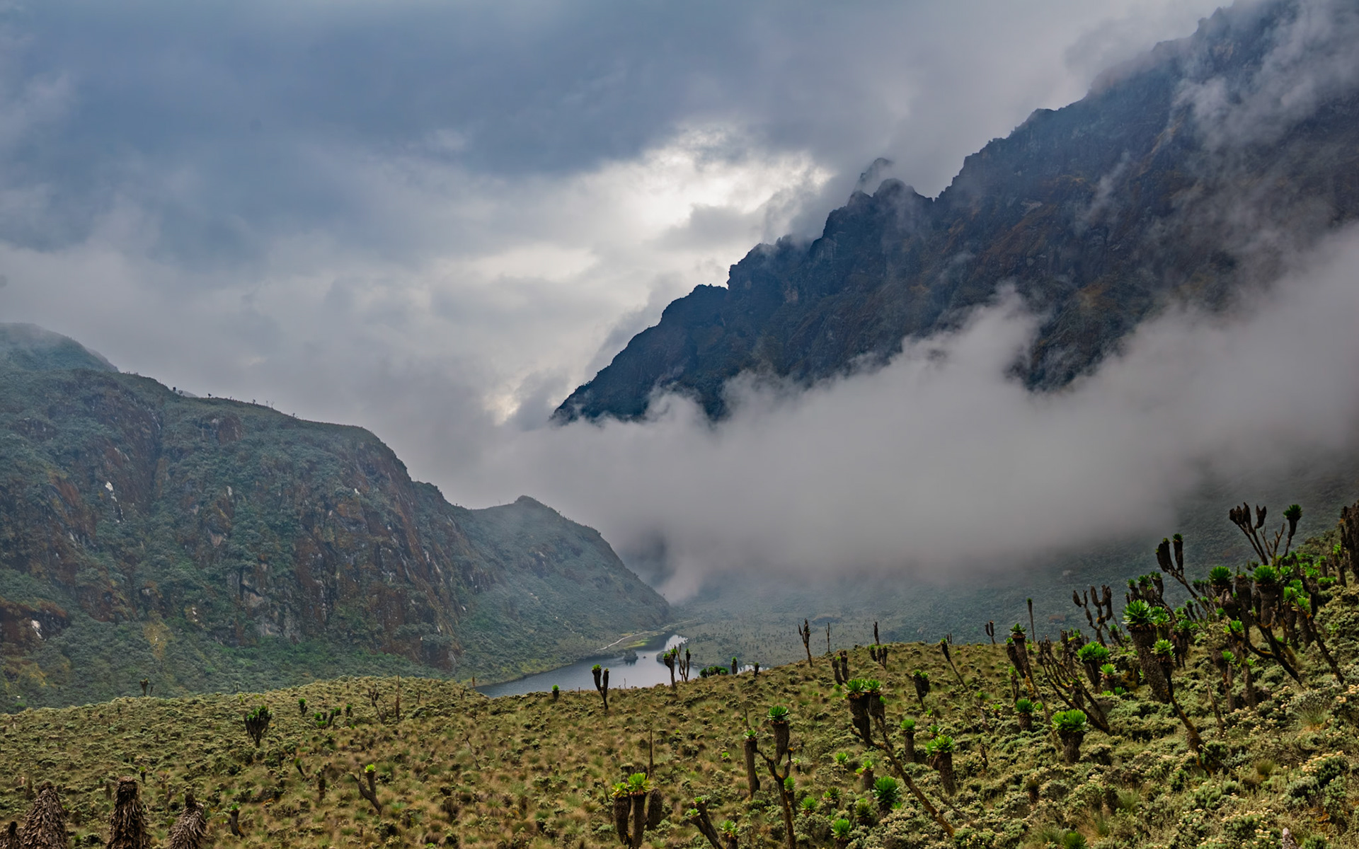 | Day 4. Bujuku Hut (3.977 m) - Elena Hut (4,541 m) |  Rwenzori Mountains | Uganda |  Rwenzori Mountains | Uganda |