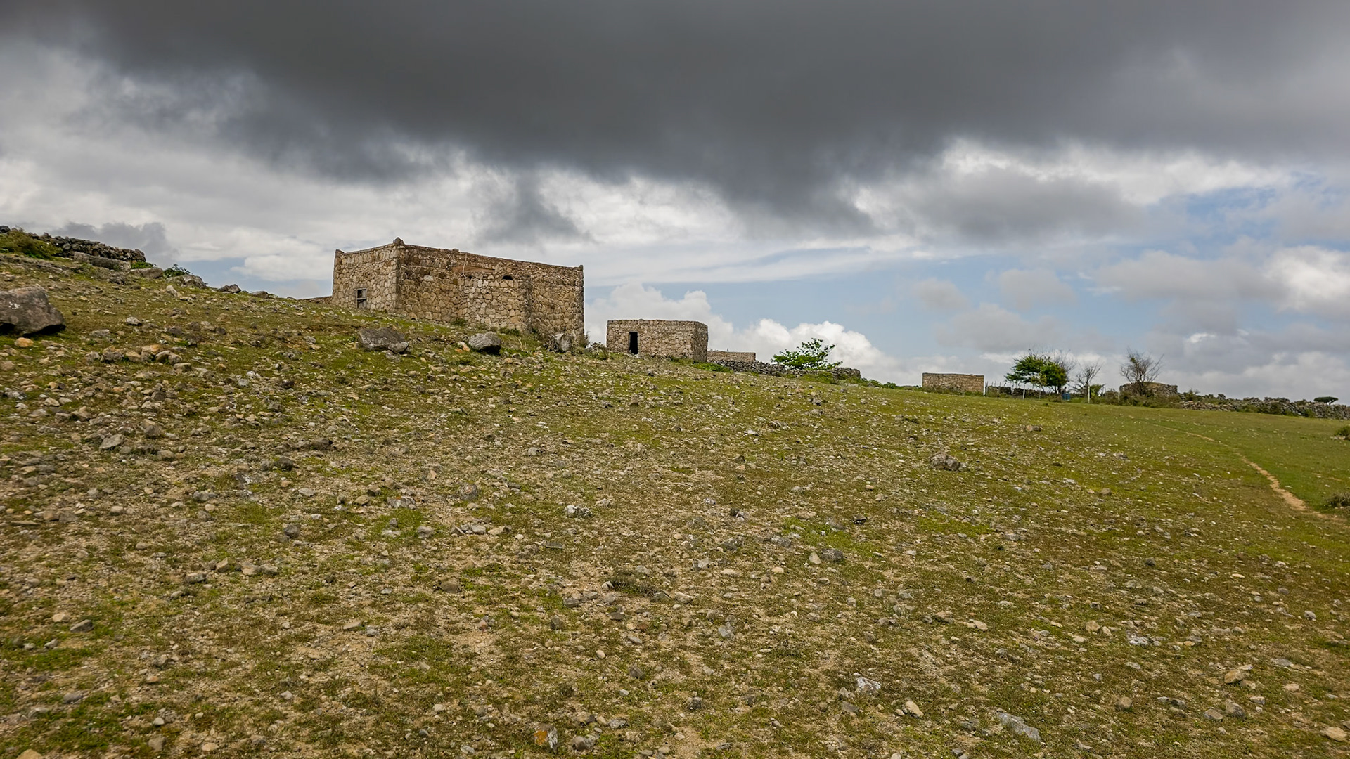 Rokeb di Firmihin Highland Plateau