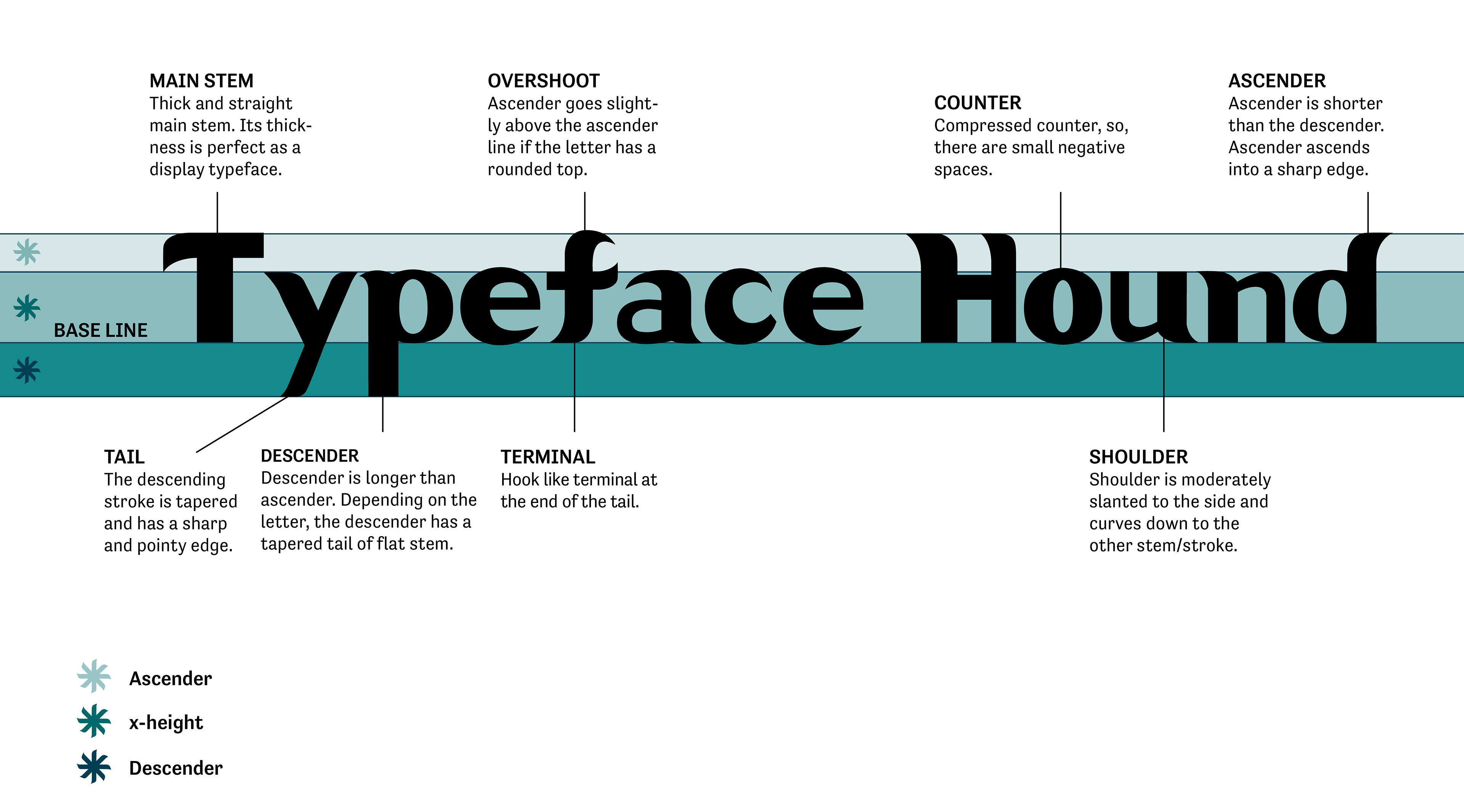 Hound typeface anatomy