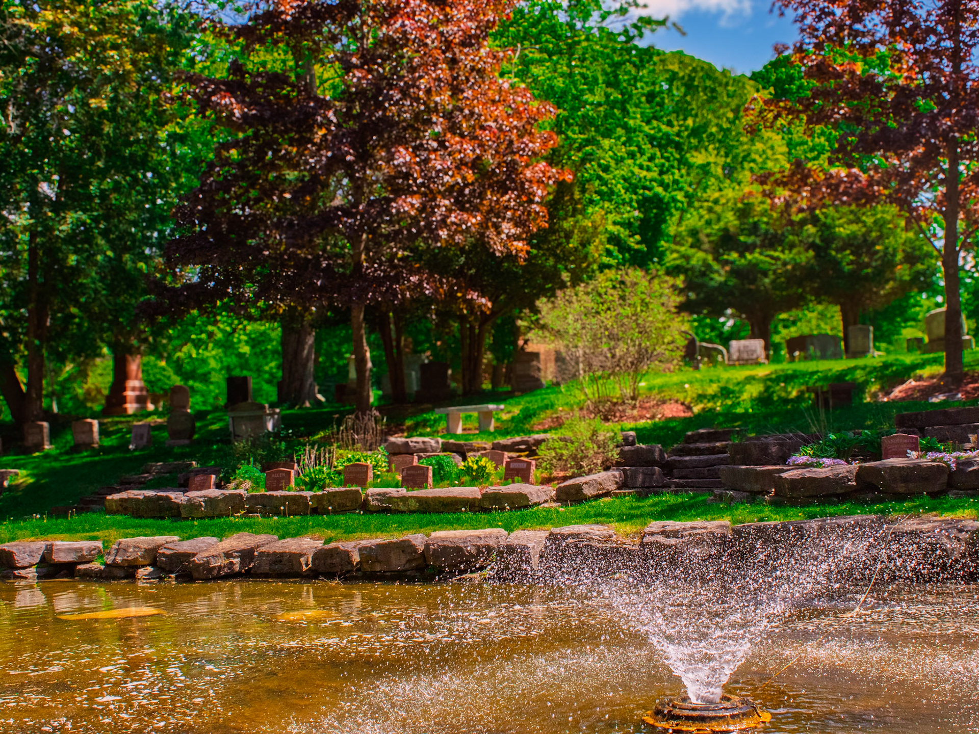 Highlighting the tranquil garden landscapes and serene water features. These calming, environmental shots were essential for our organic social media strategy to convey a peaceful atmosphere.