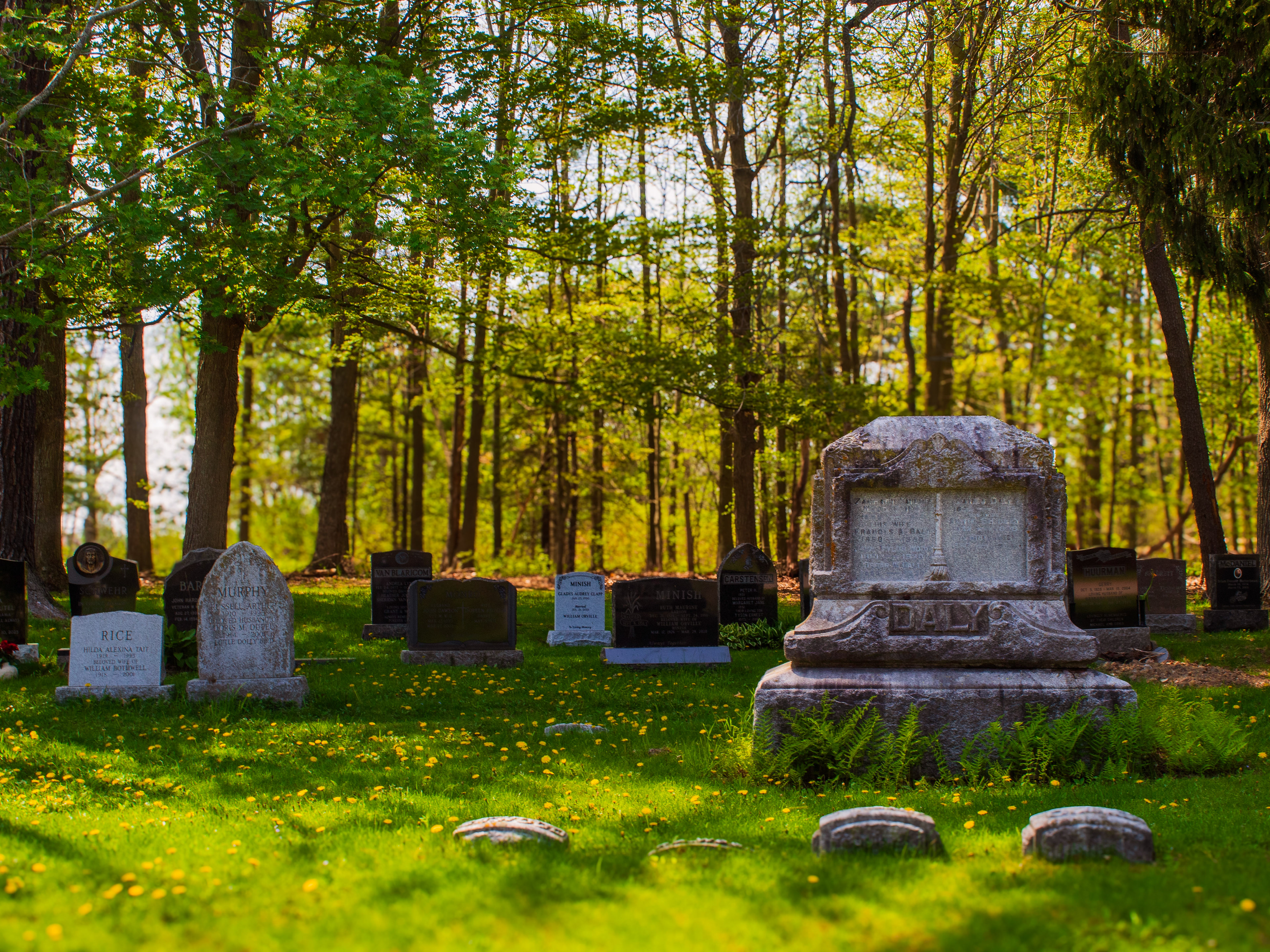 The Garden Cemetery Movement in action. These 85 acres of rolling hills and curvilinear roads were originally designed to be a peaceful natural parkland for the public to appreciate.