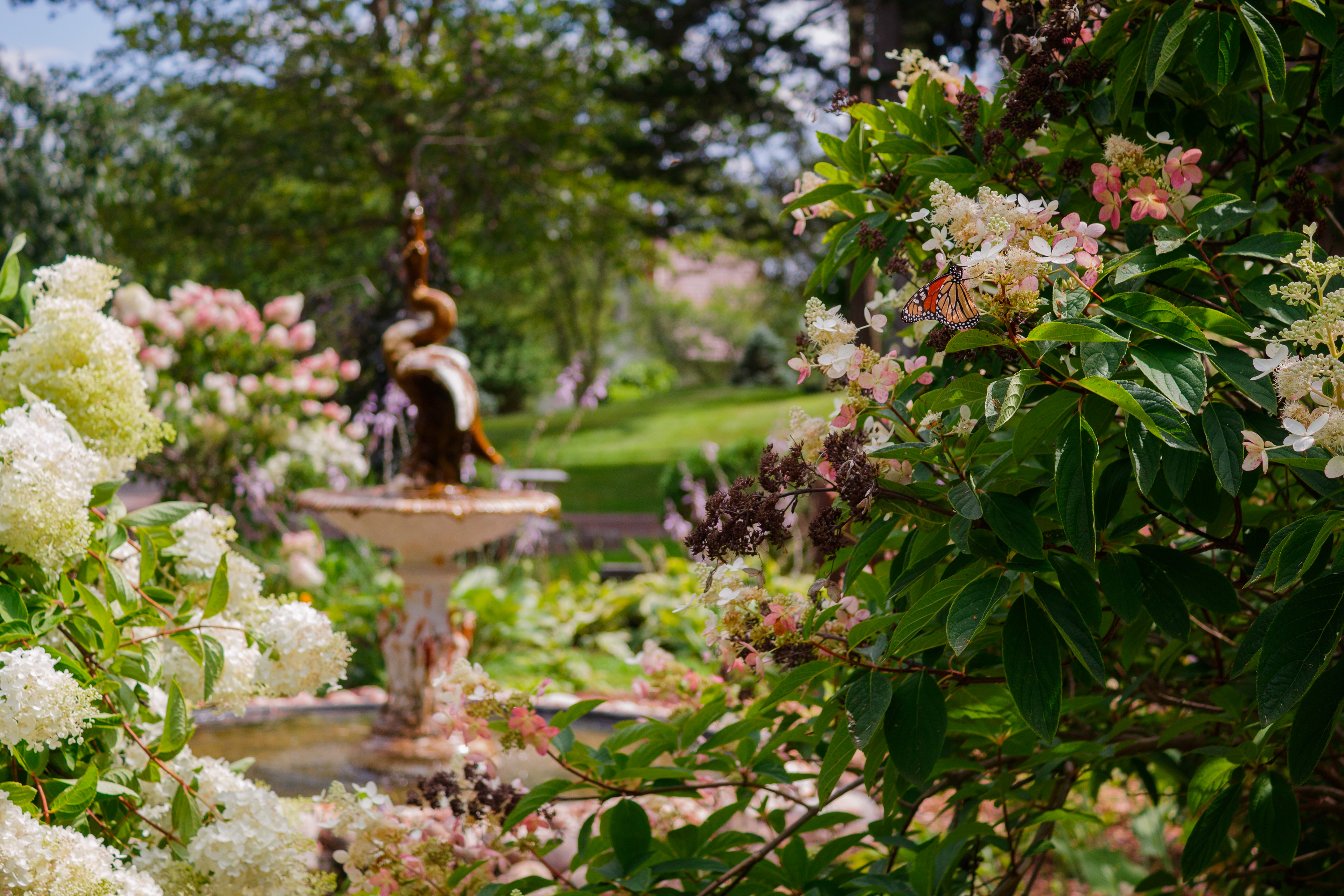 A moment of serenity at Cataraqui Cemetery, featuring a Monarch butterfly in the foreground with the grounds and fountain in soft focus. This composition balances the natural vitality of the space with its tranquil, reflective atmosphere, showcasing the cemetery's role as both a heritage site and a peaceful community retreat.