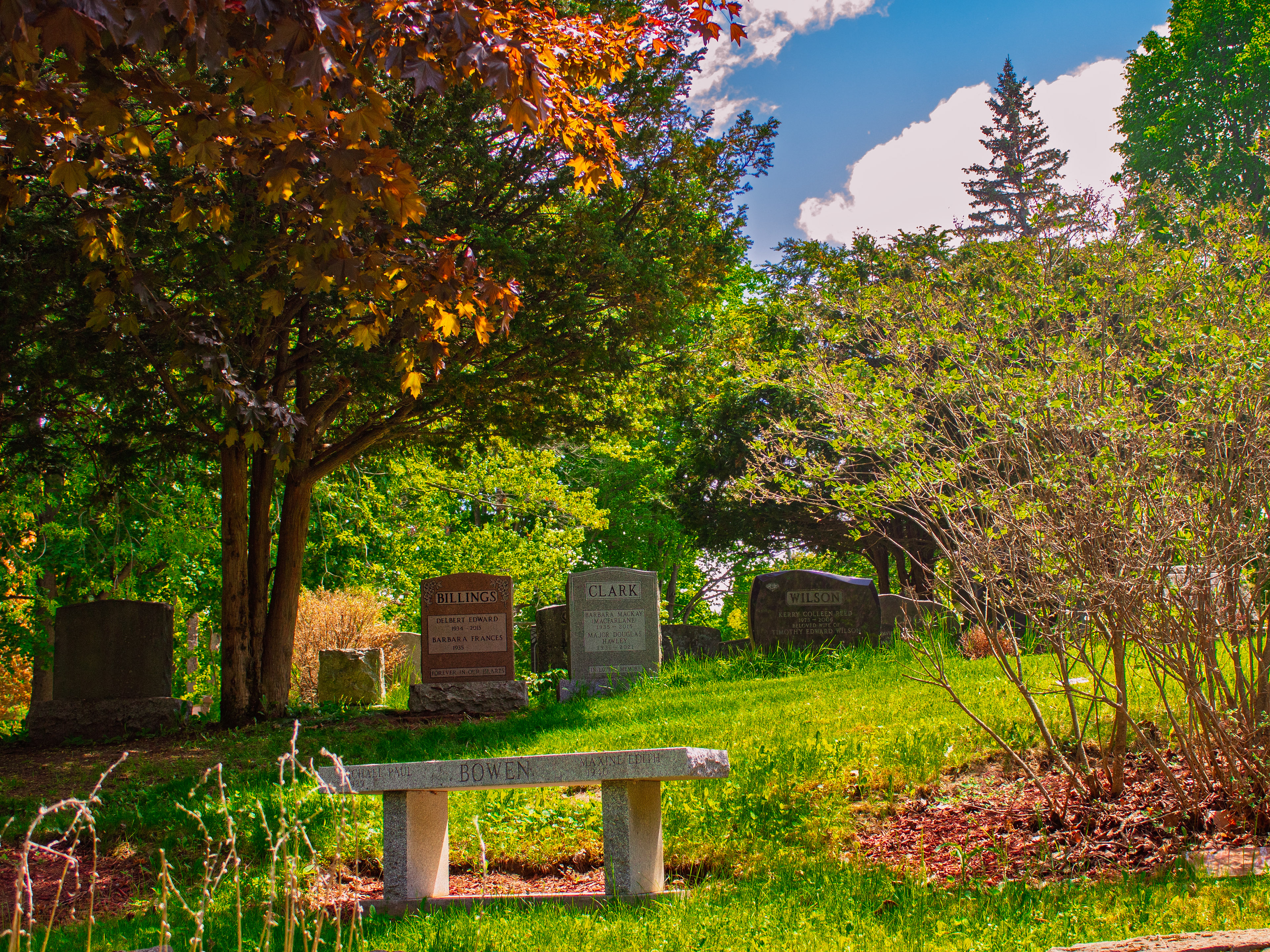 A quiet place for reflection. Images like this reinforce the brand's positioning as a peaceful green space for the entire Kingston community.