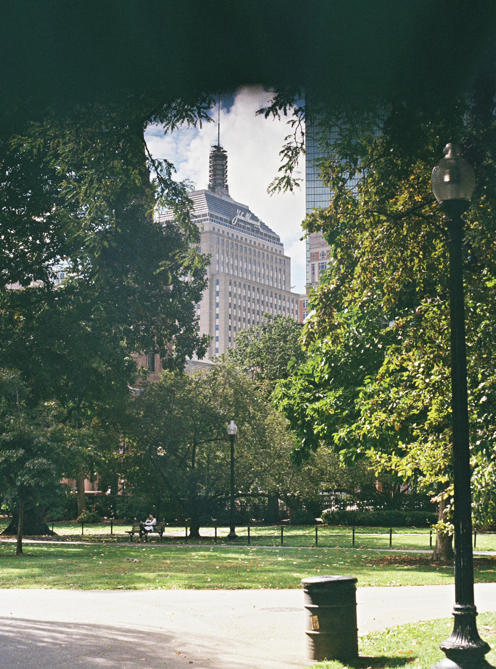 Boston Public Garden
