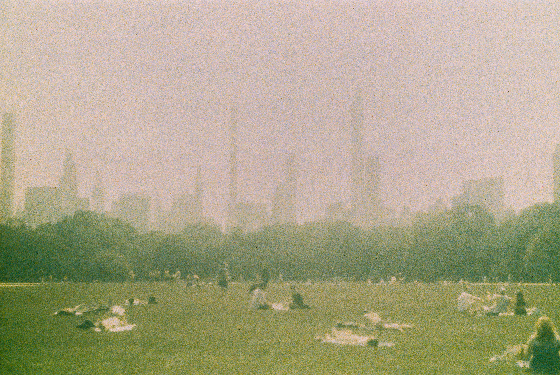 Central Park, NYC