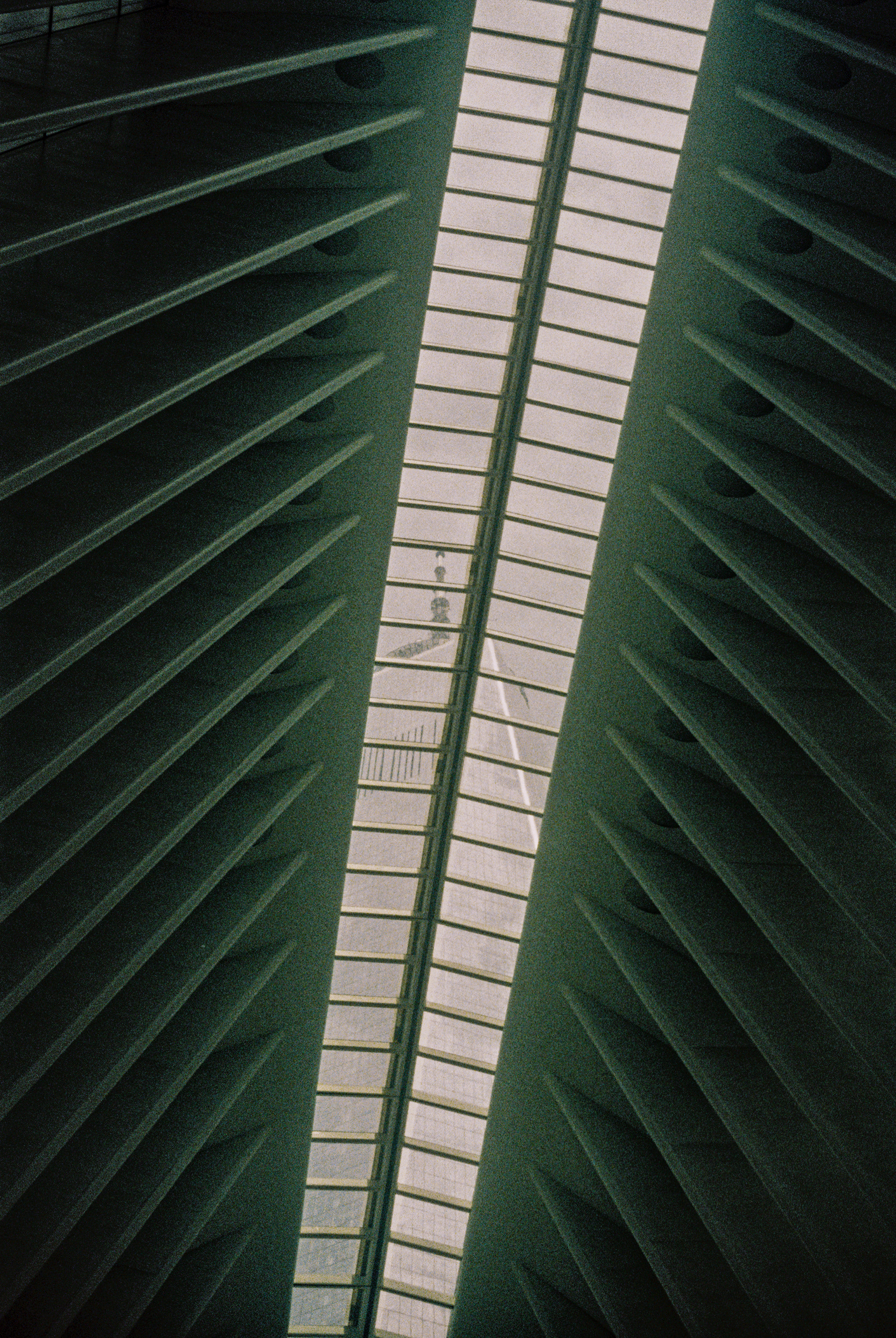 One World Trade Center from the Oculus