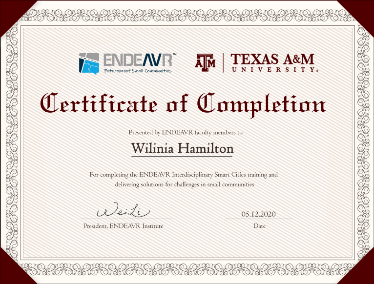 Smart Cities Training Certificate from Urban Planning Capstone Class