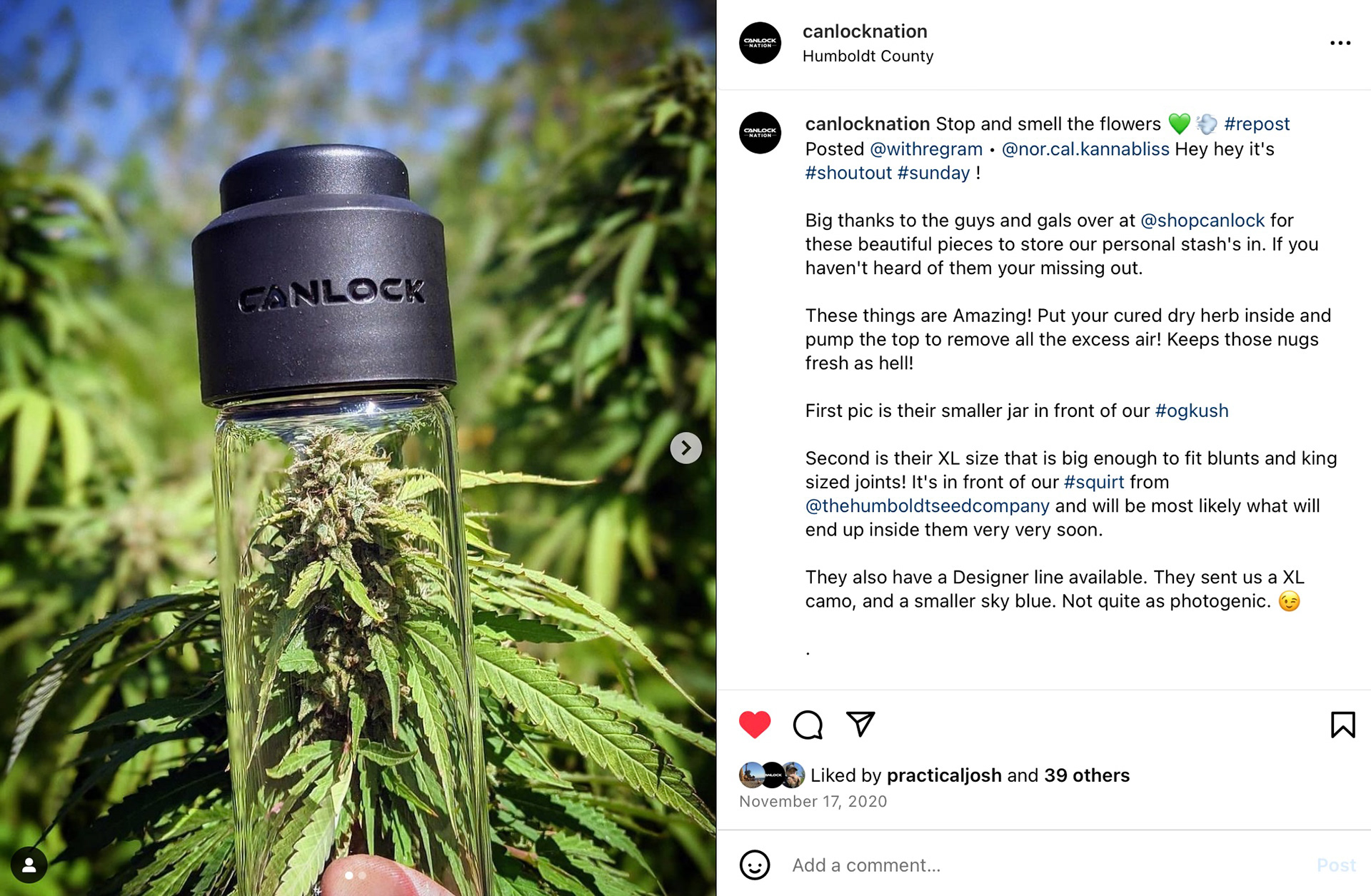 Stop and smell the flowers. 💚💨 [UGC: copy by Tash Guimond, photo by @nor.cal.kannabliss]  