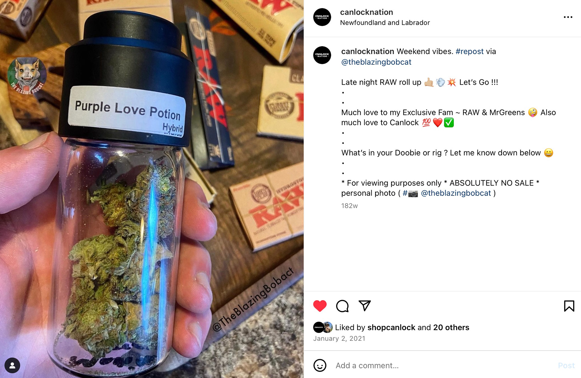 Weekend vibes. [UGC: copy by Tash Guimond, photo by @theblazingbobcat]