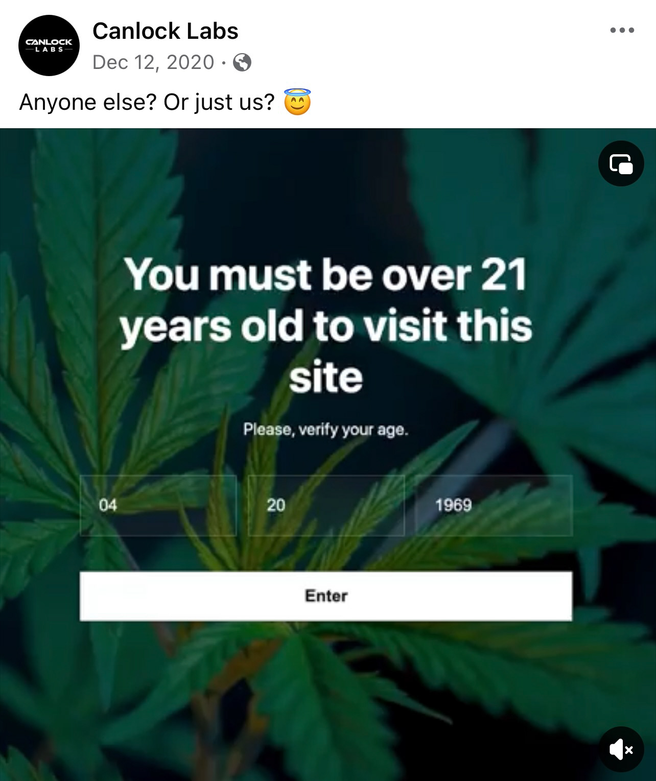 Anyone else? Or just us? 😇— You must be over 21 years old to visit this site. Please verify age: 4/20/1969 — Just a little 420 humor. 😉